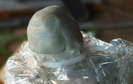  I covered the form with Saran Wrap and used Aves putty to sculpt the helmet.  