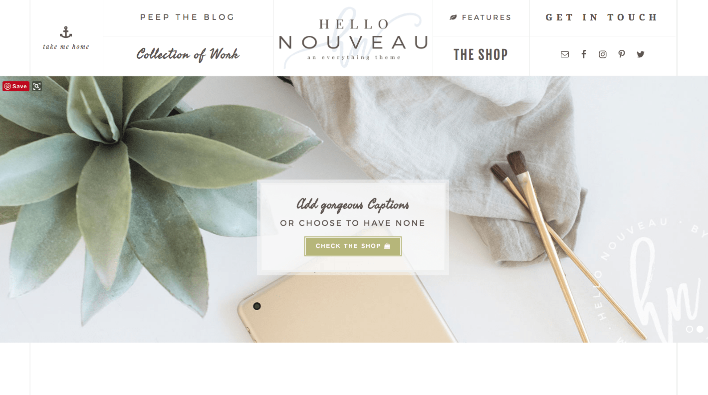 Best Feminine Wordpress Themes for Bloggers