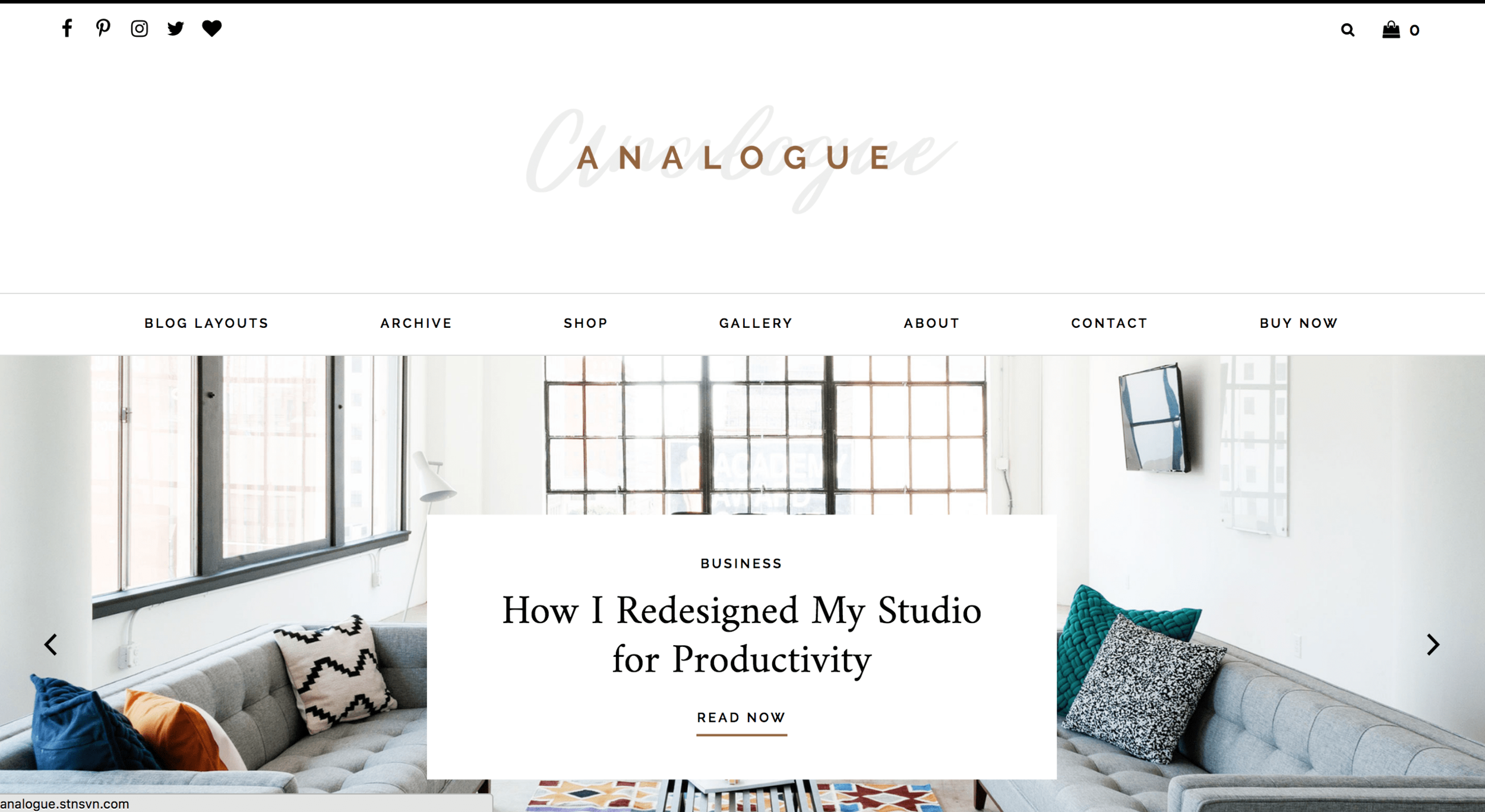 Best Wordpress Themes Analogue