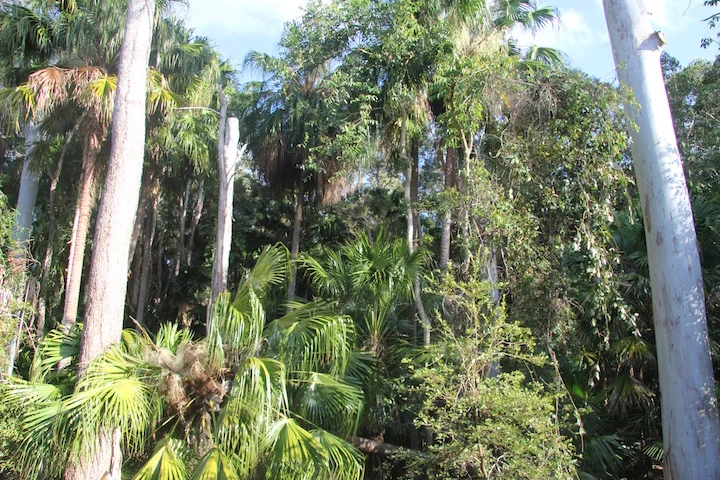 stress-and-the-art-of-peaceful-living-noosa.jpg