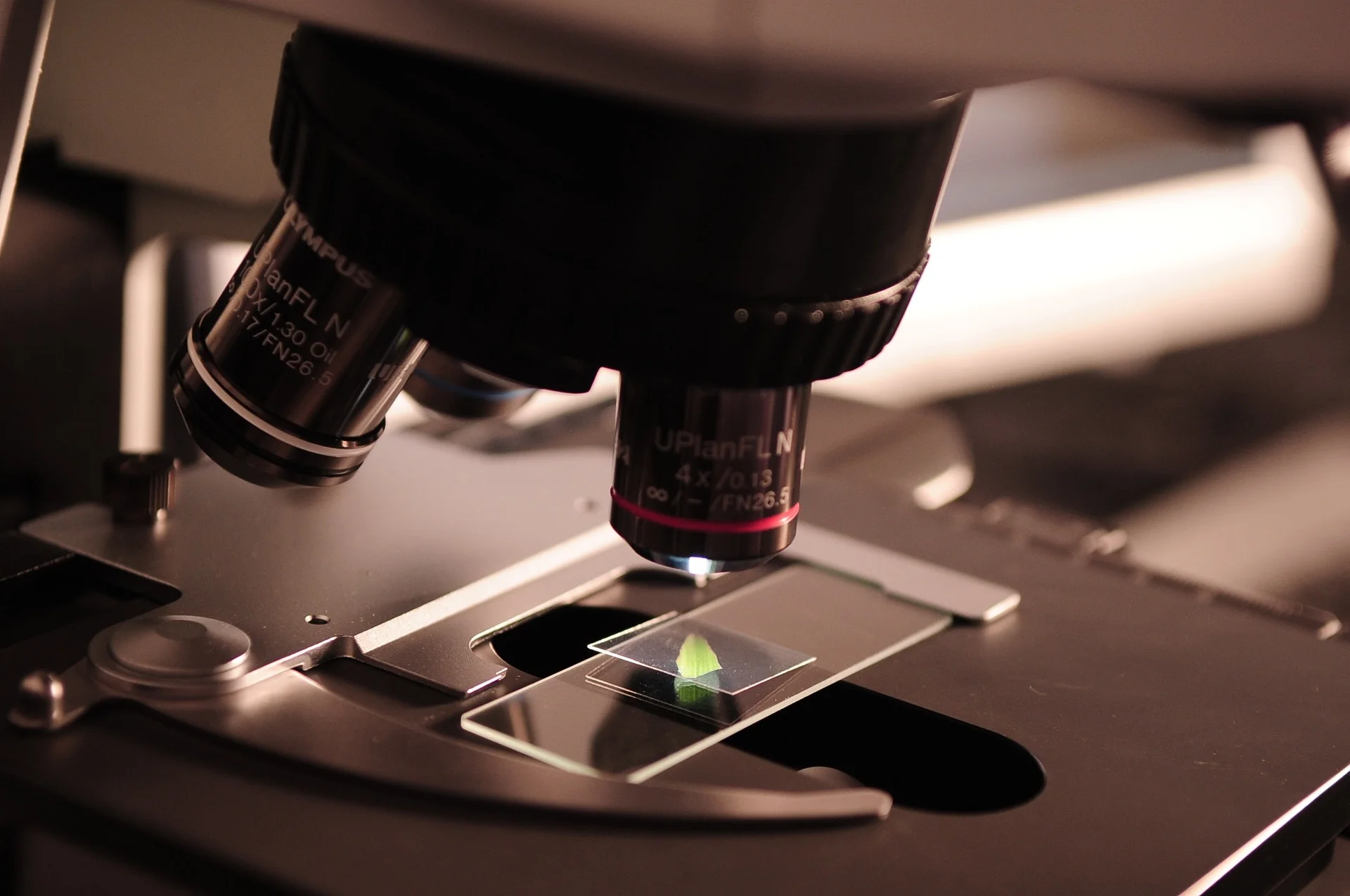  Critical Instruments and Services using a compliant process based approach