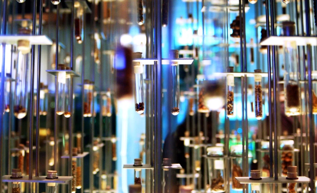  Combustions System Solutions for the food industry 