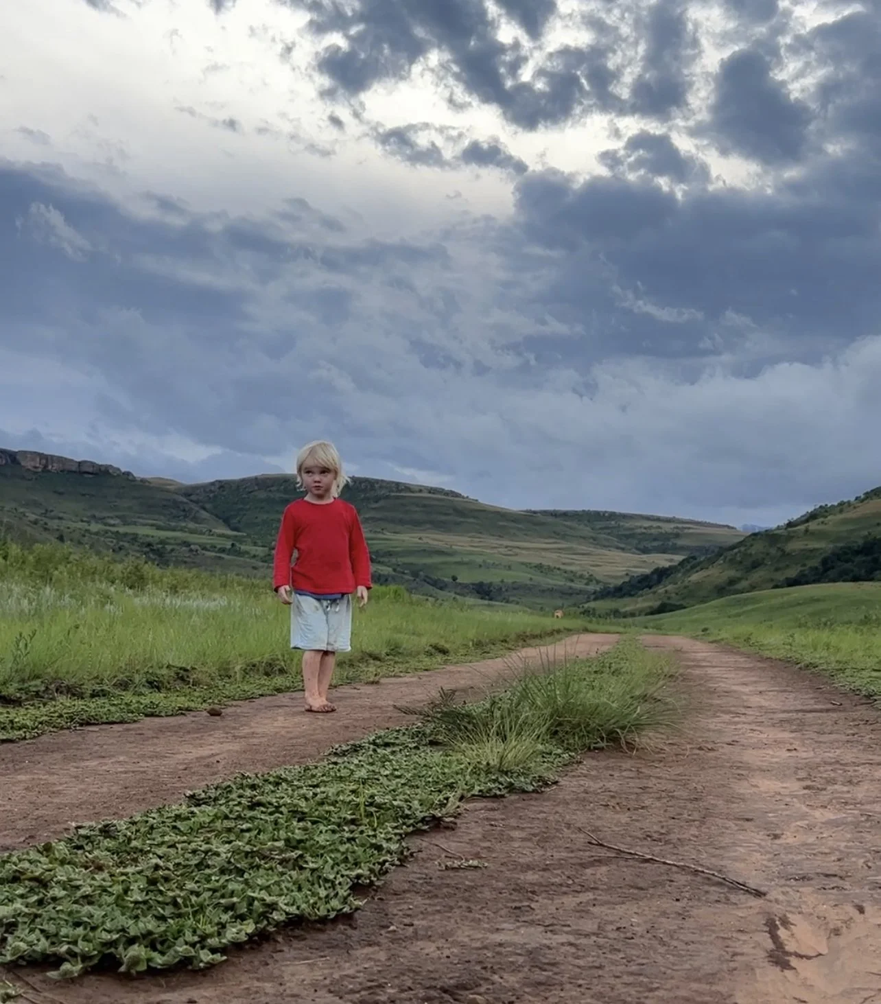 This Is What A ‘Bottom Up’ Revolution Looks Like