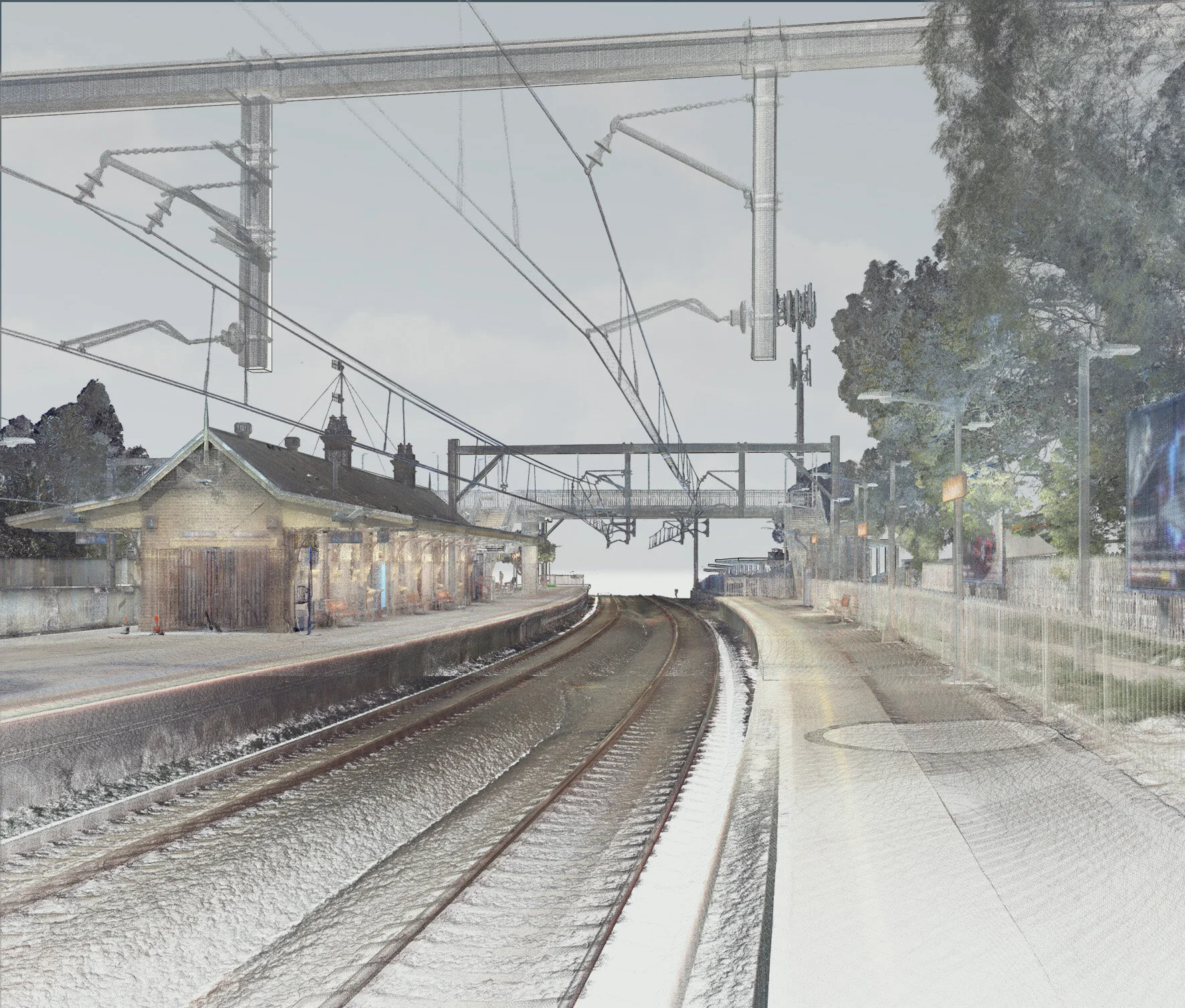 118732 North Strathfield Pointcloud & model_light.jpg
