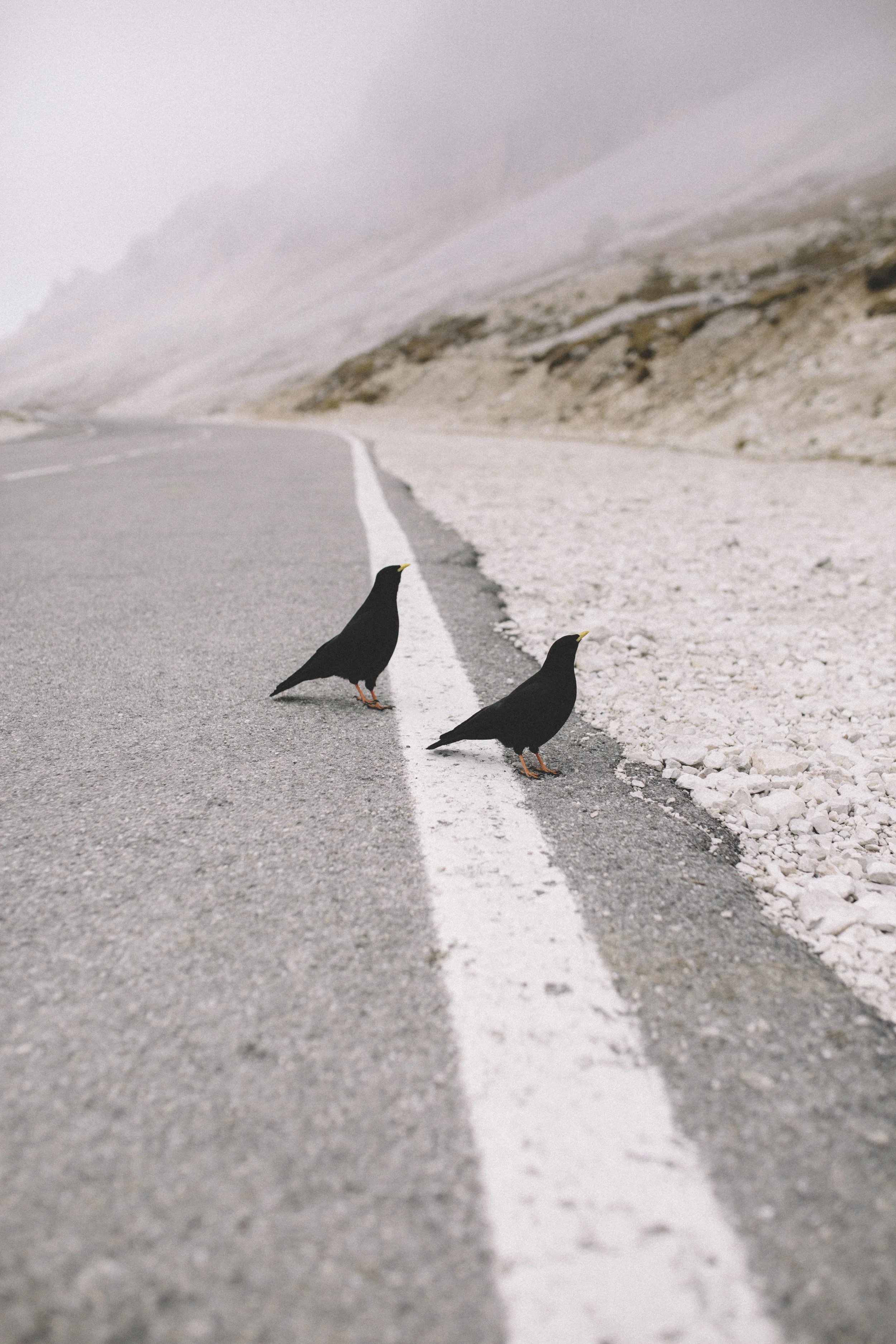 Document Name 2_4.JPG