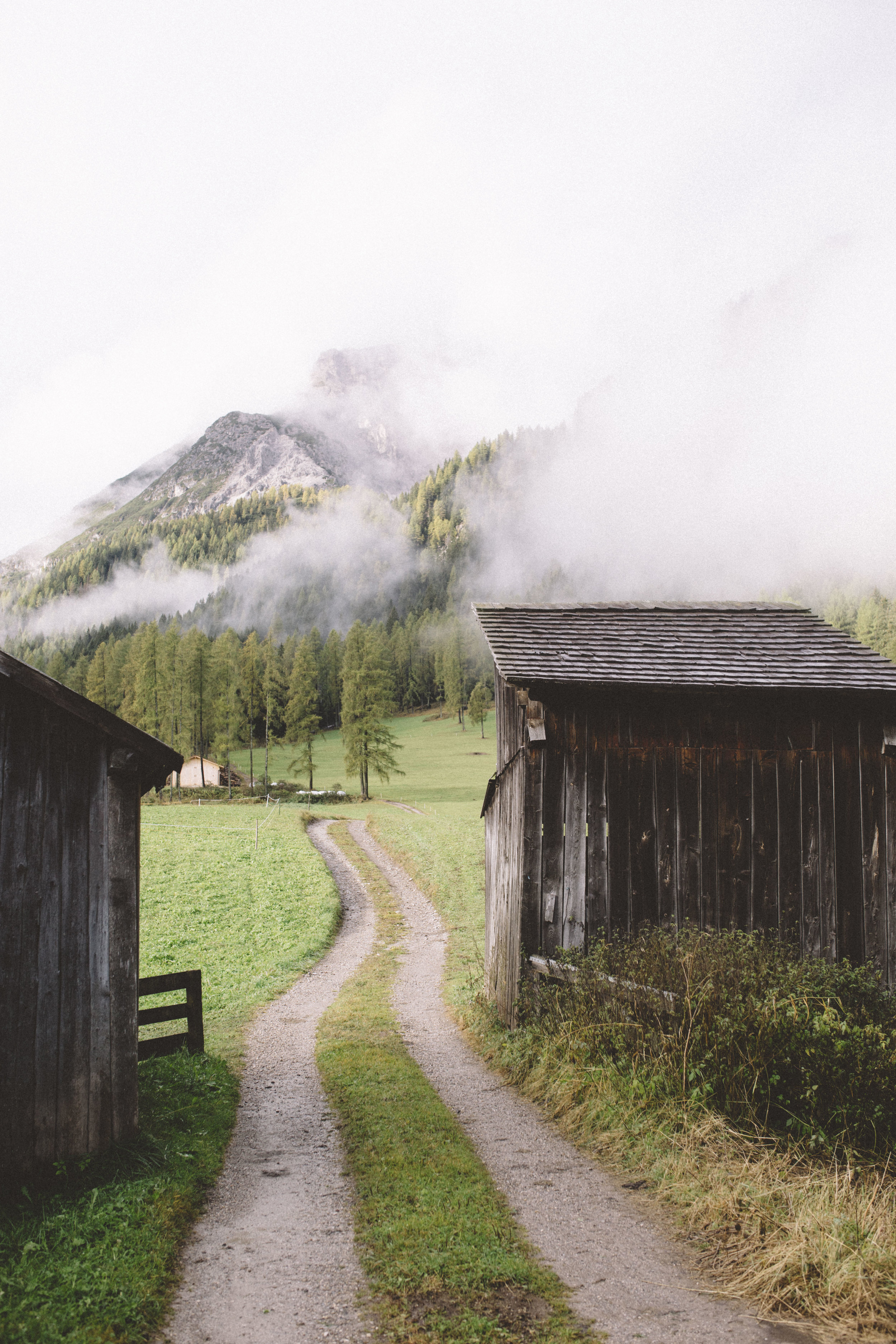 Document Name 2_45.JPG