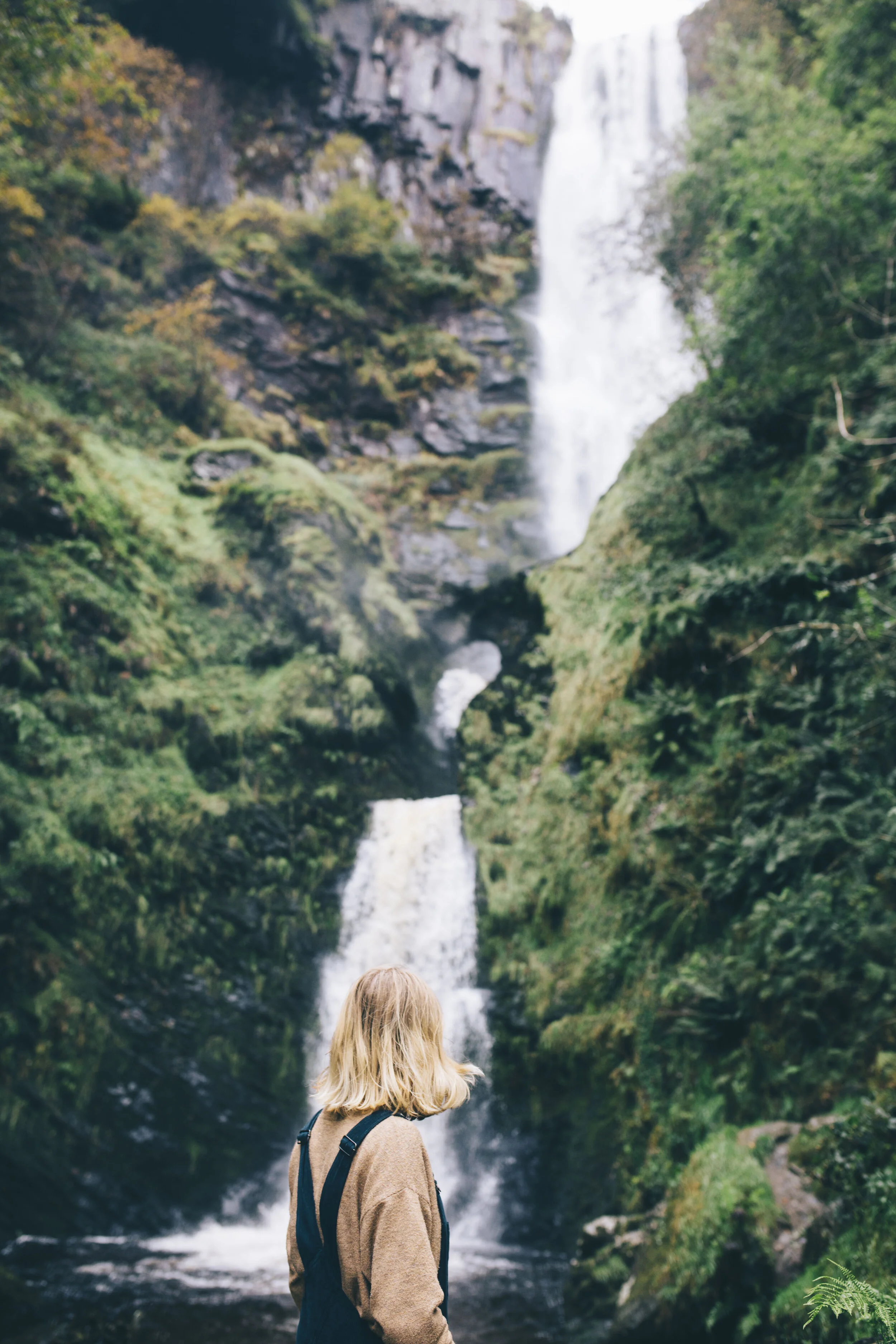 canopy and stars _40.JPG