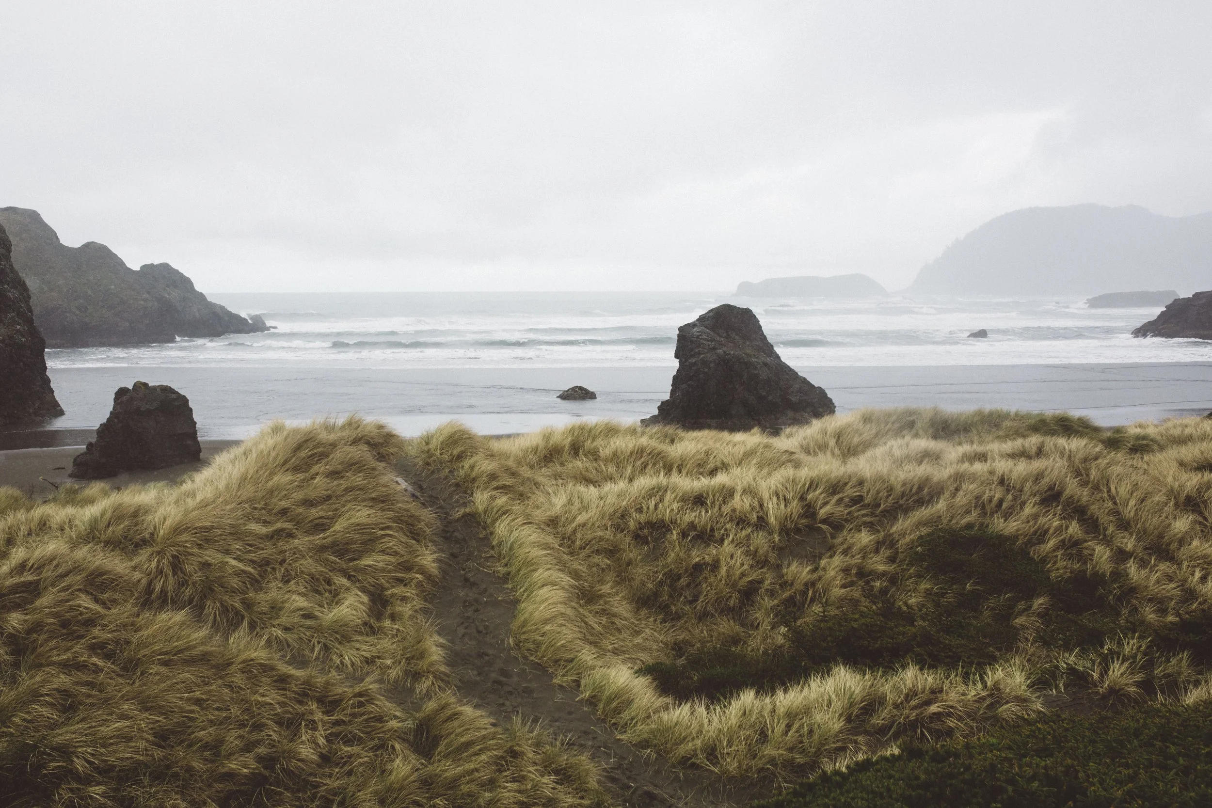 Document Name 2_181.JPG