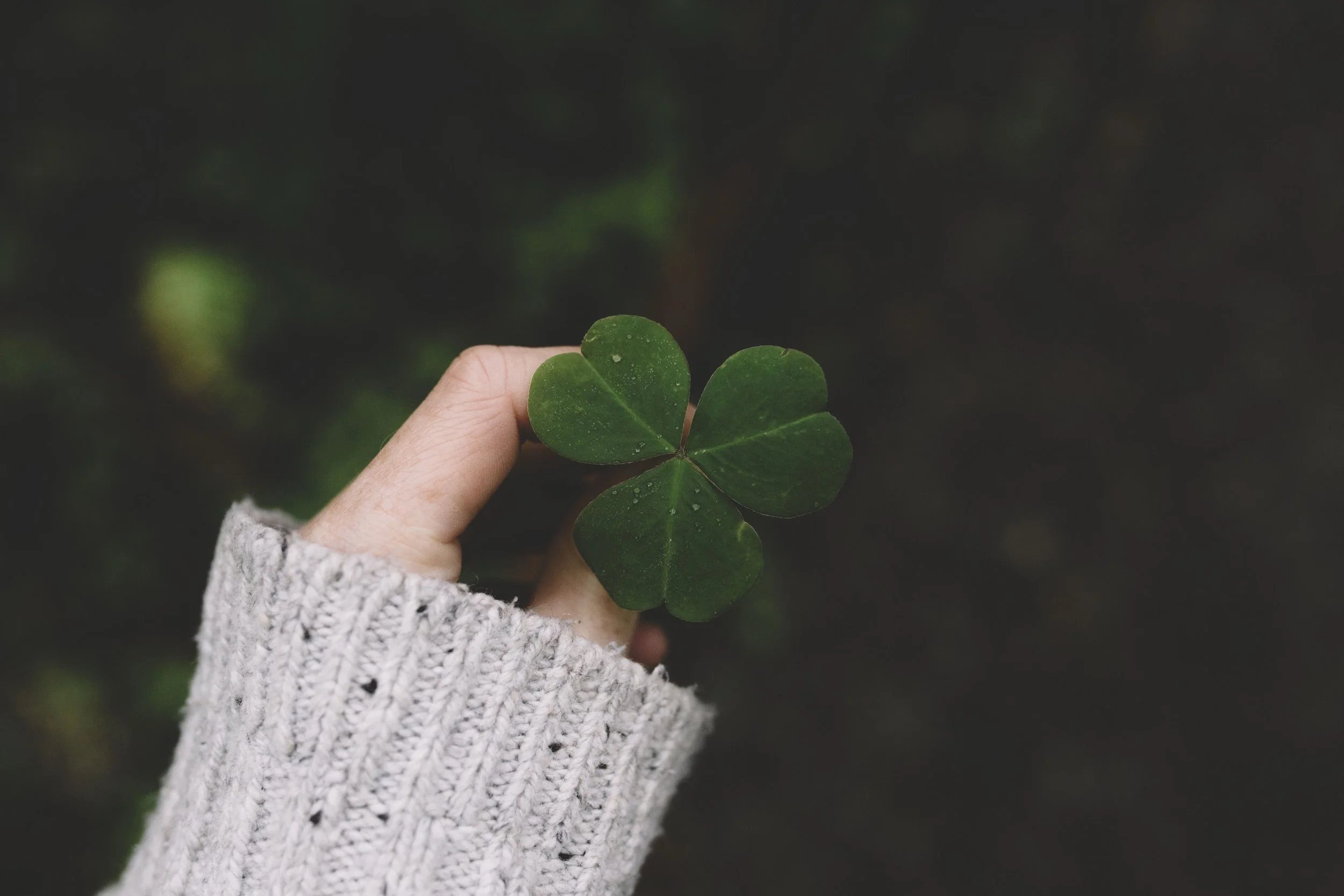 Document Name 2_167.JPG