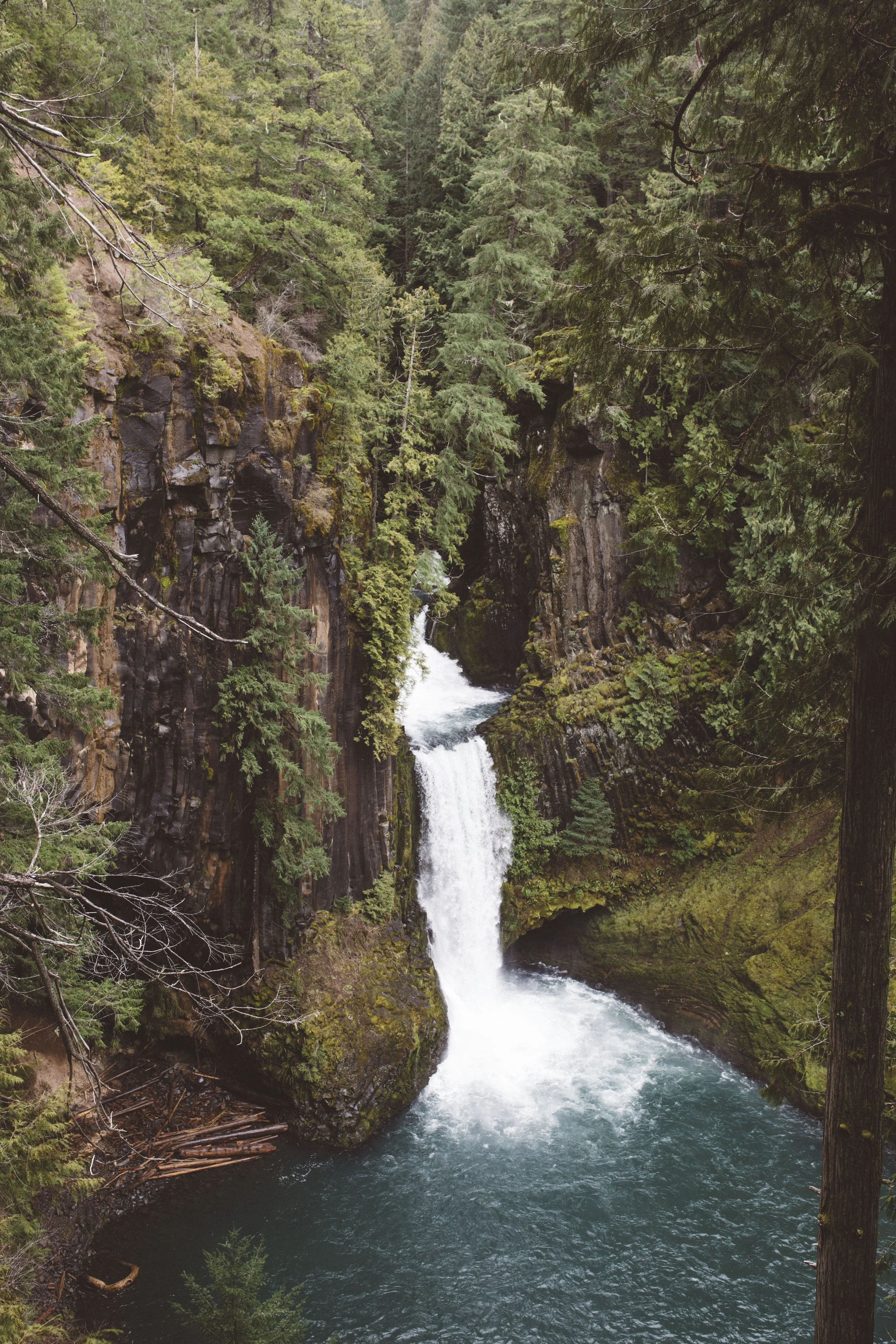 Document Name 2_138.JPG