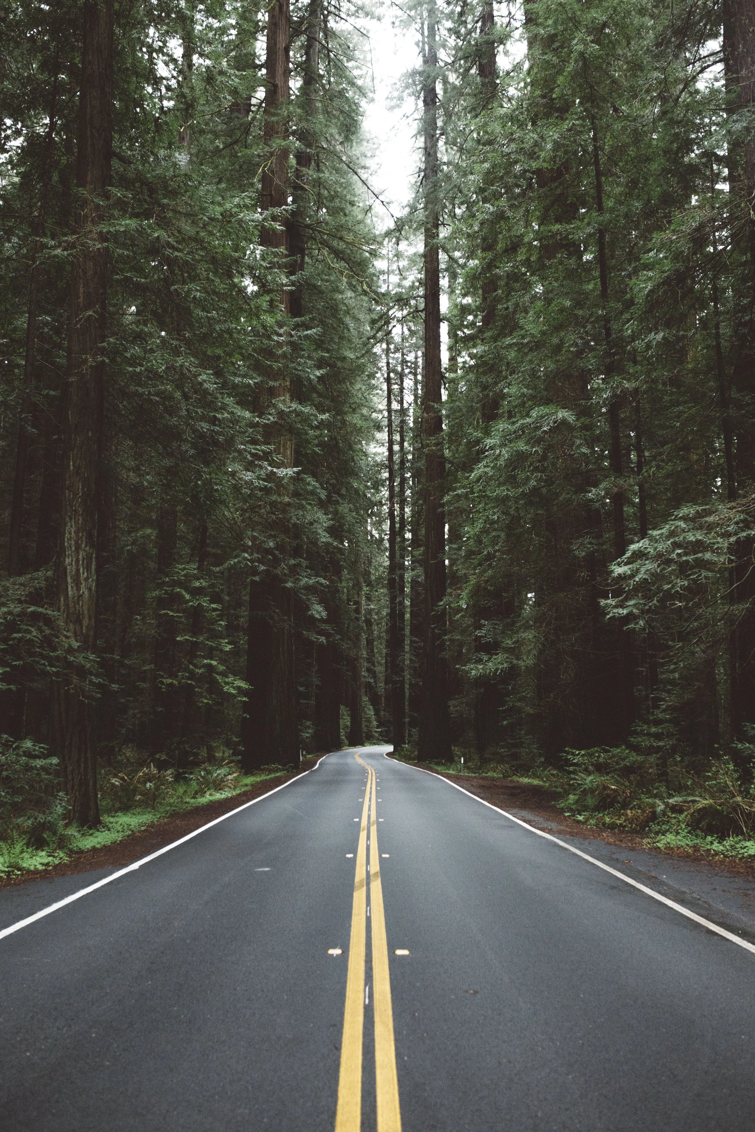 Document Name 2_139.JPG