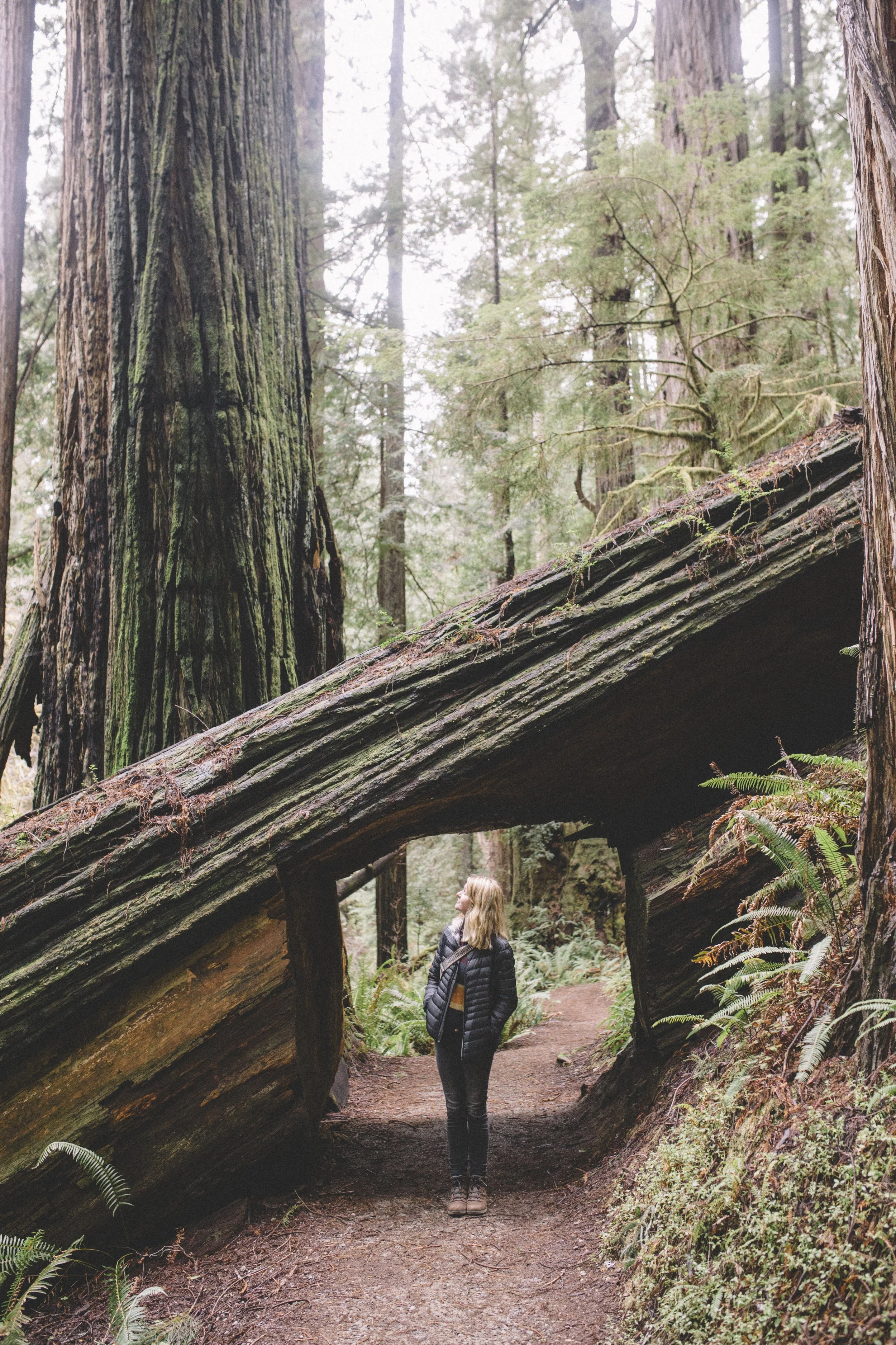 Document Name 2_140.JPG