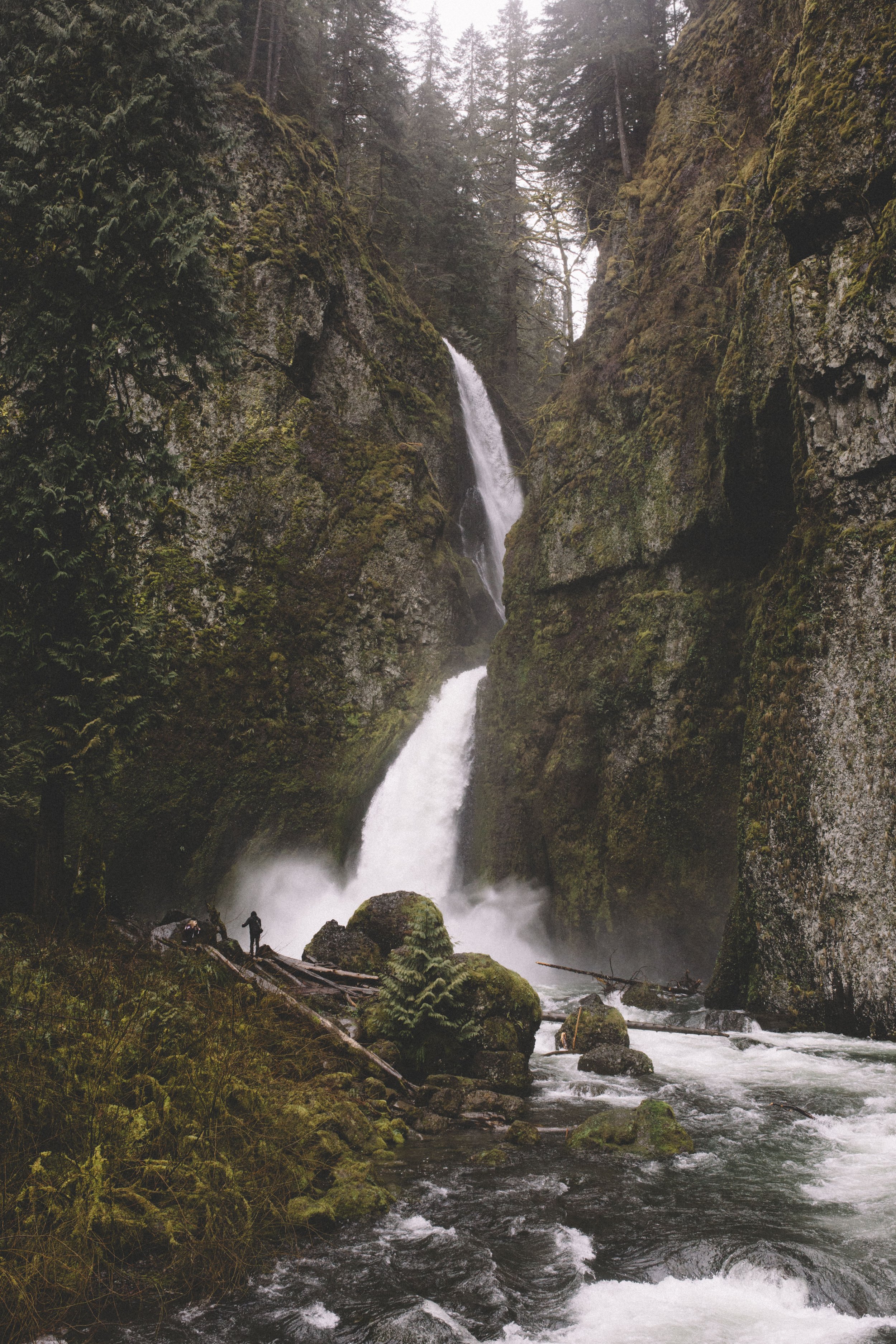 Document Name 2_131.JPG