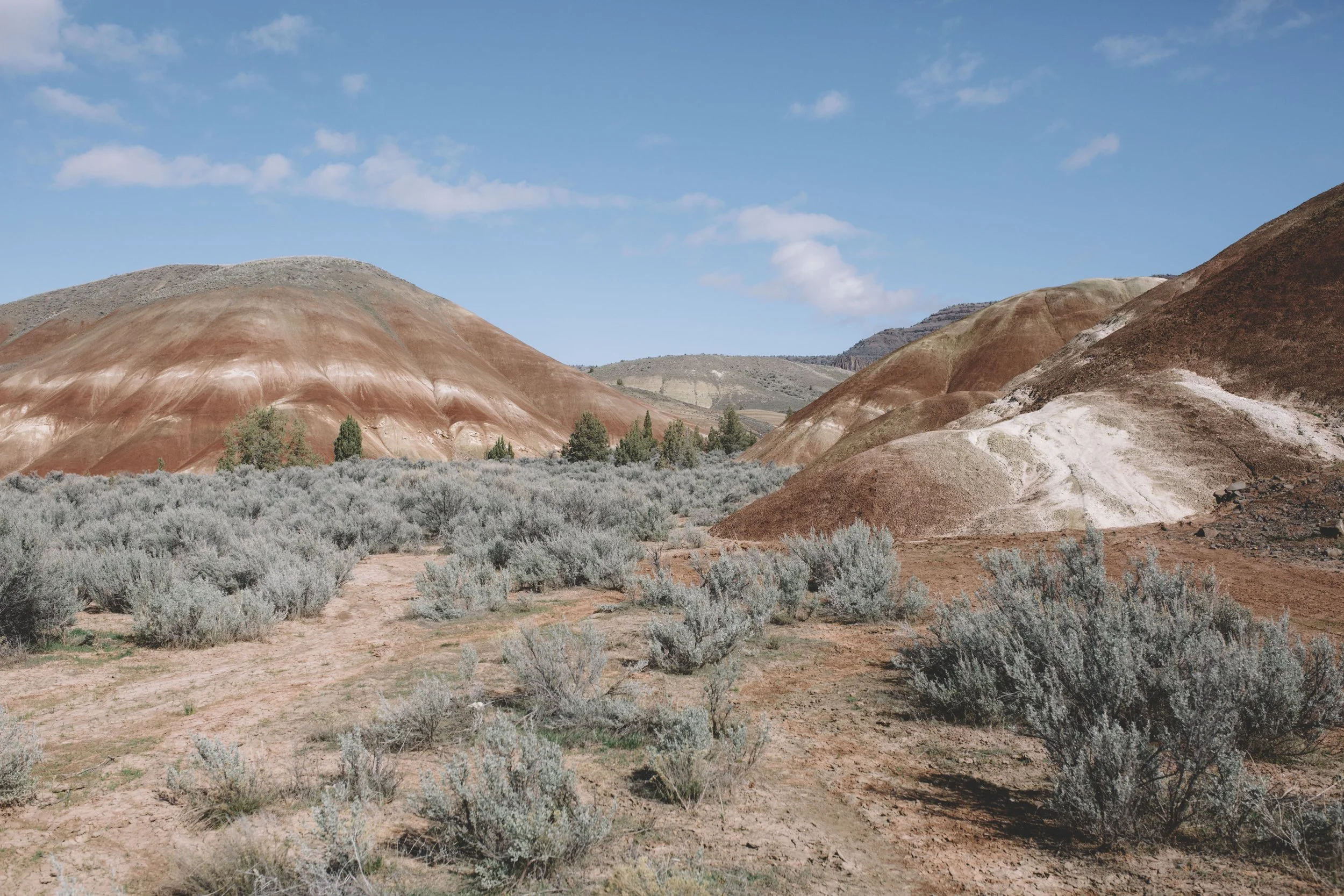 Document Name 2_120.JPG