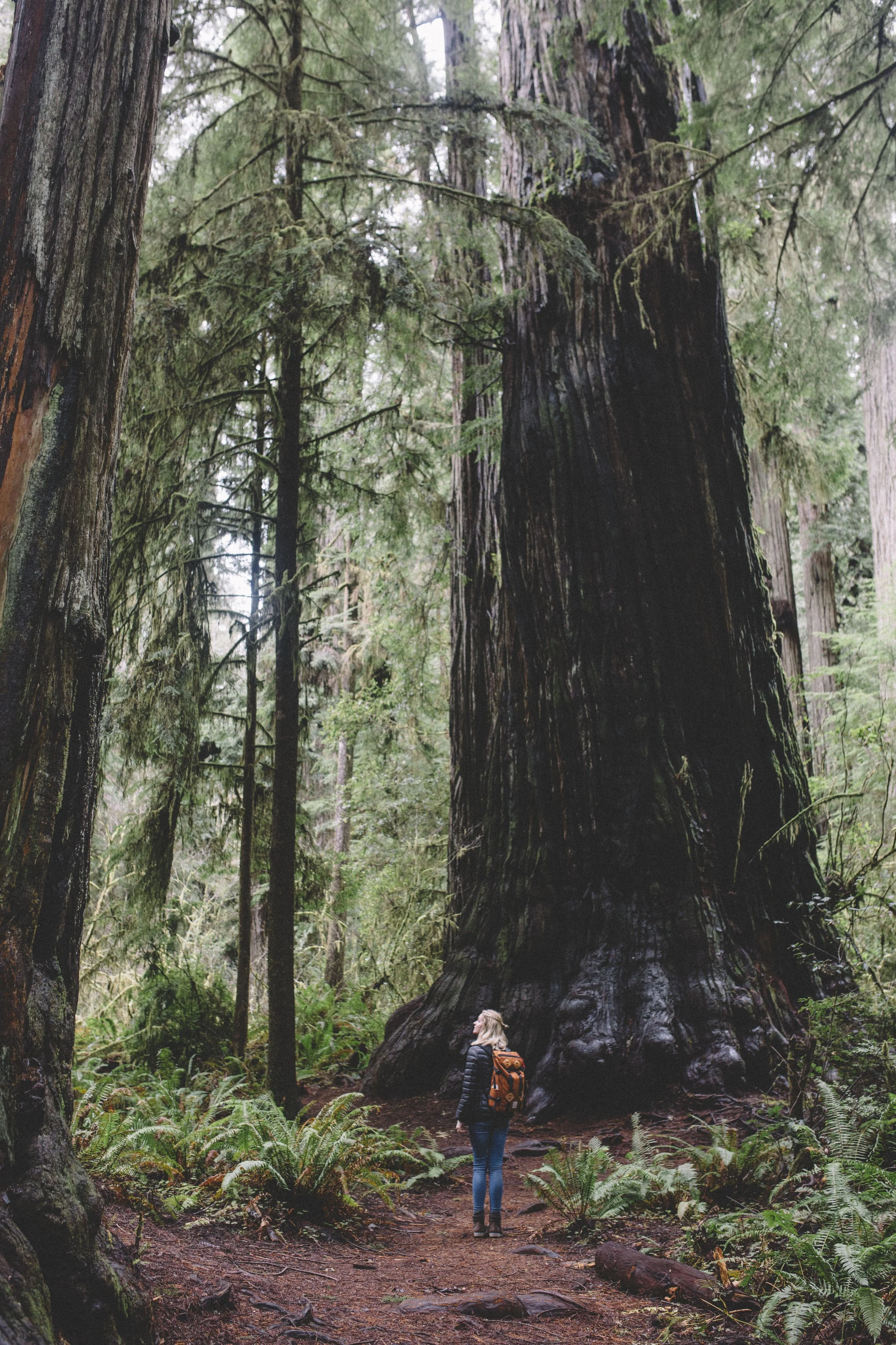 Document Name 2_58.JPG