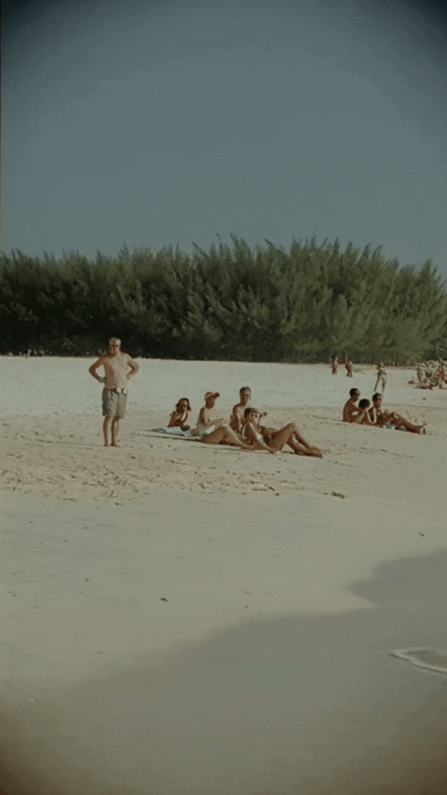 Untitled design (9).gif