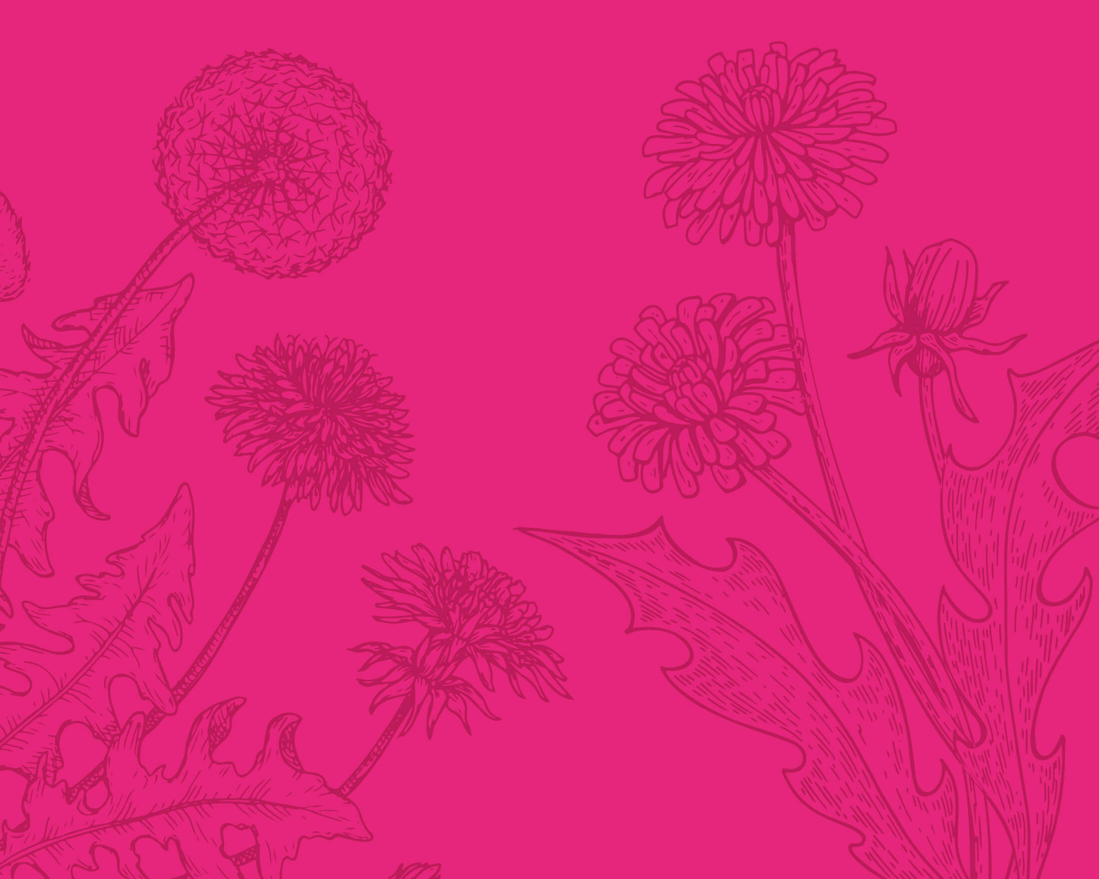 meet-the-botanicals.jpg