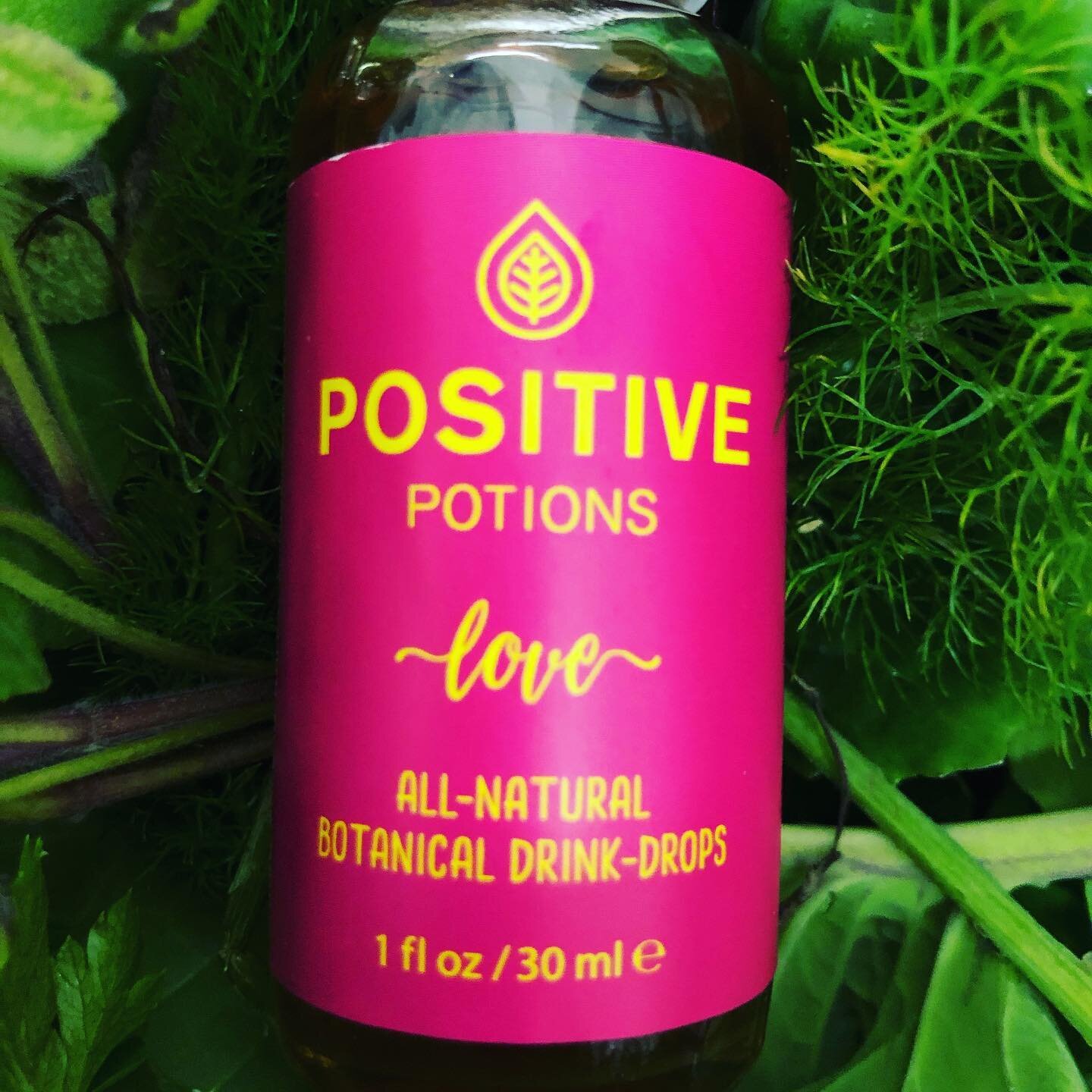 Dydd Santes Dynwen Hapus! Happy St Dynwen&rsquo;s day 💖🌟 We can see this patron saint of lovers&rsquo; church at Llanddwyn from the Positive Potions garden @bodorganestate 🌱💖 #makemineapositivepotion #dyddsantesdwynwen #thepowerofpositivedrinking