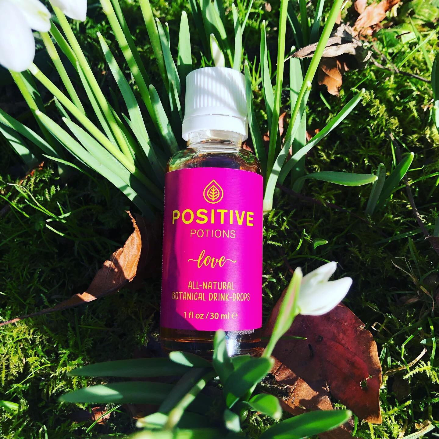 All about the #love 💖 Spring on the way on Anglesey, everything in bud, gestating, just about to break out into new life! 🌱☀️💖#thepowerofpositivedrinking #jointheherbalrevolution #anglesey #walledgarden #secretgarden #valentines #lovepotion #sendi