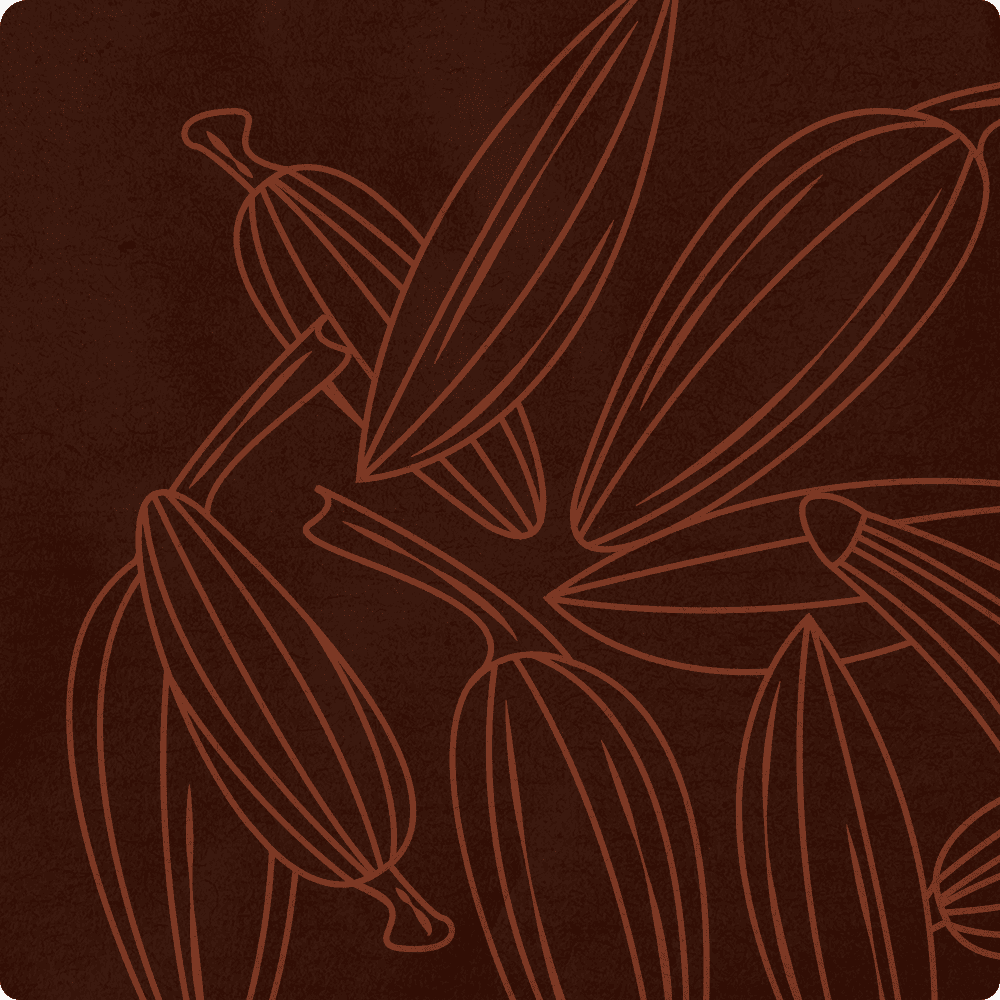 fennel seed illustration.png