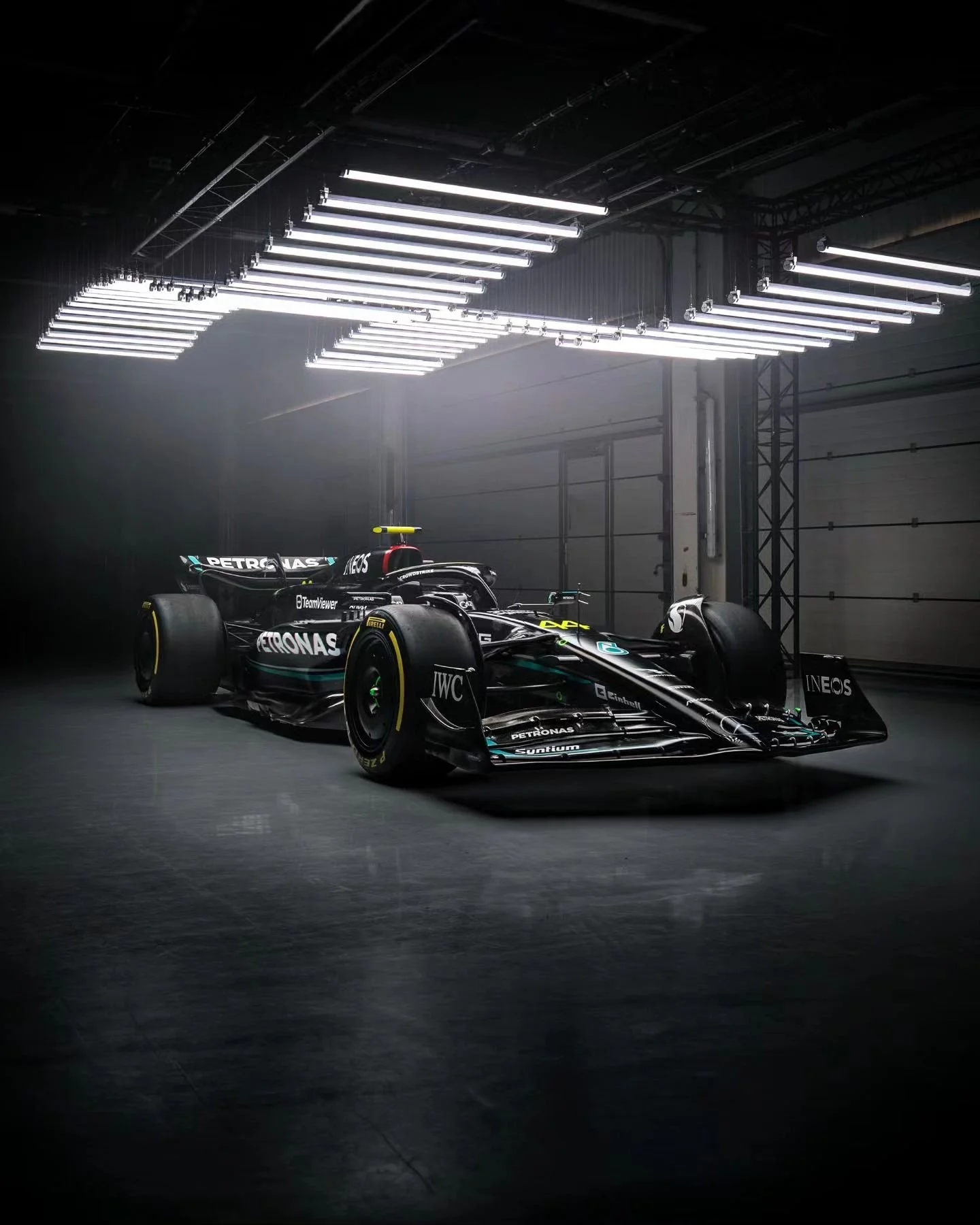 [image] - 8824465.jpeg