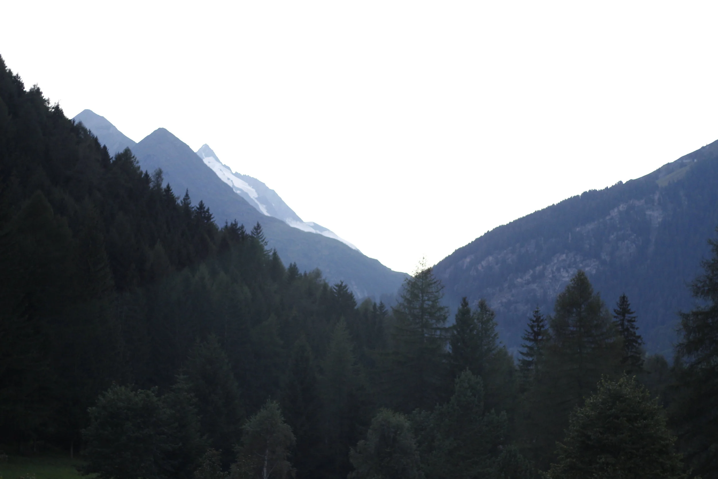 _MG_5404.JPG