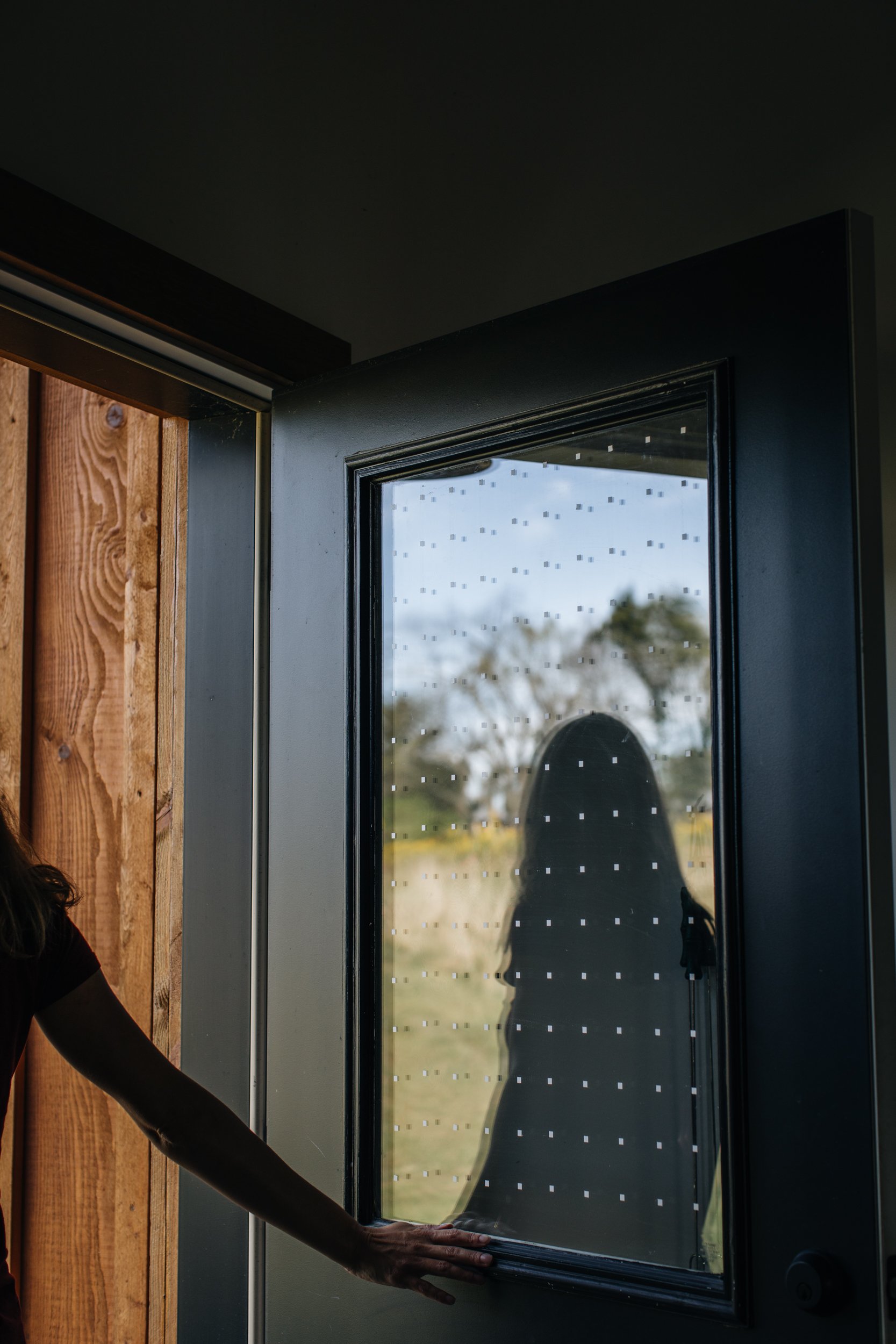 Home Improvement: Bird-friendly Window