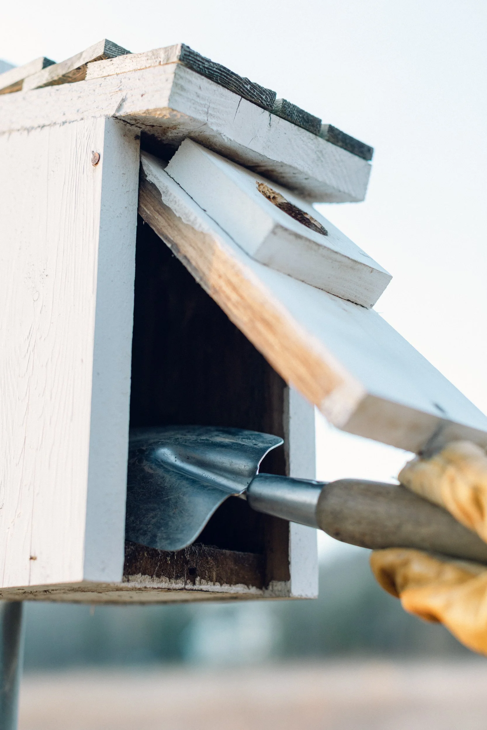 NestBoxCleaning_3.jpg