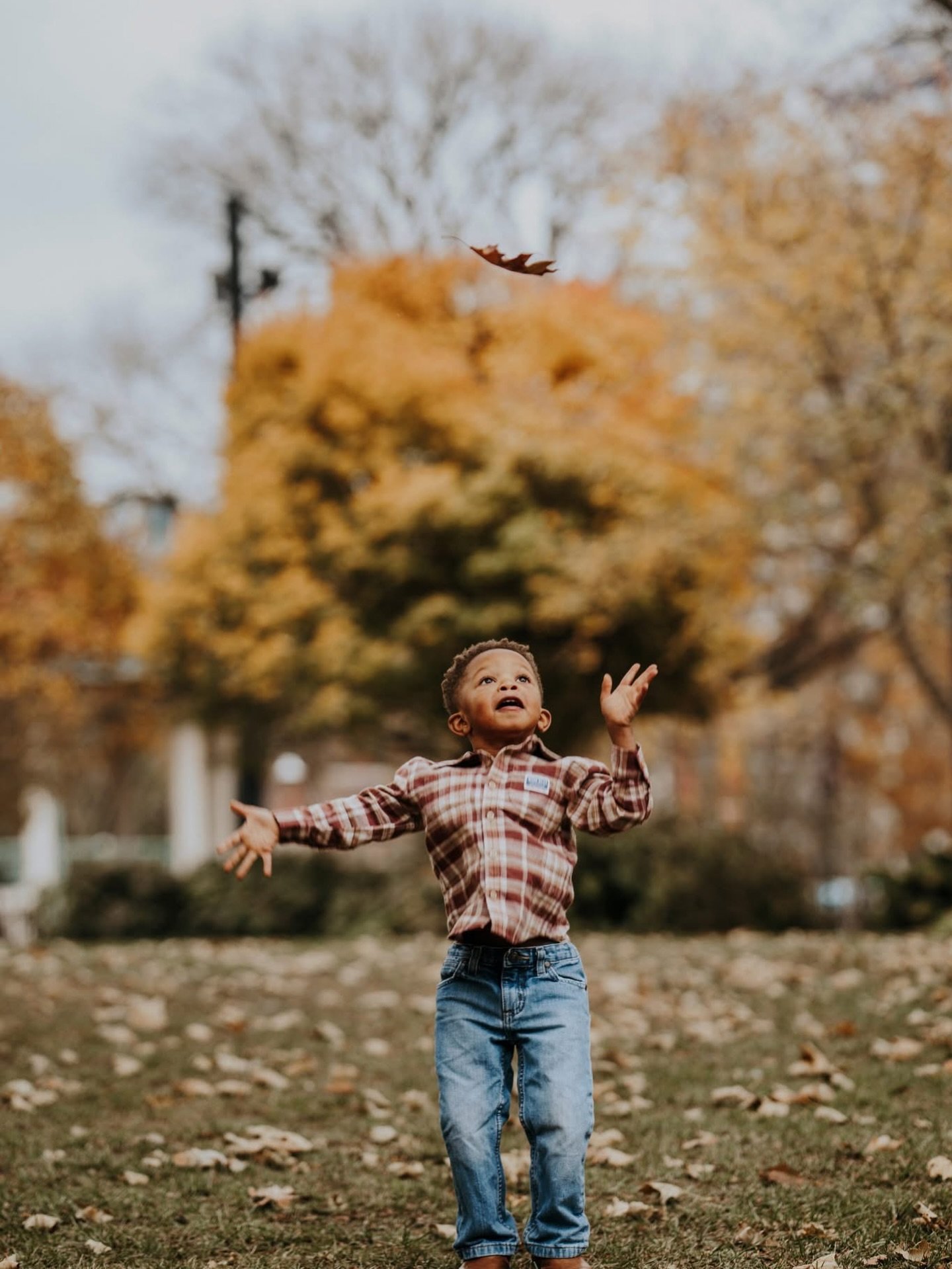 Throwback to our Washington park minis! We LOVED these! #photos #linkinbio #book #photography