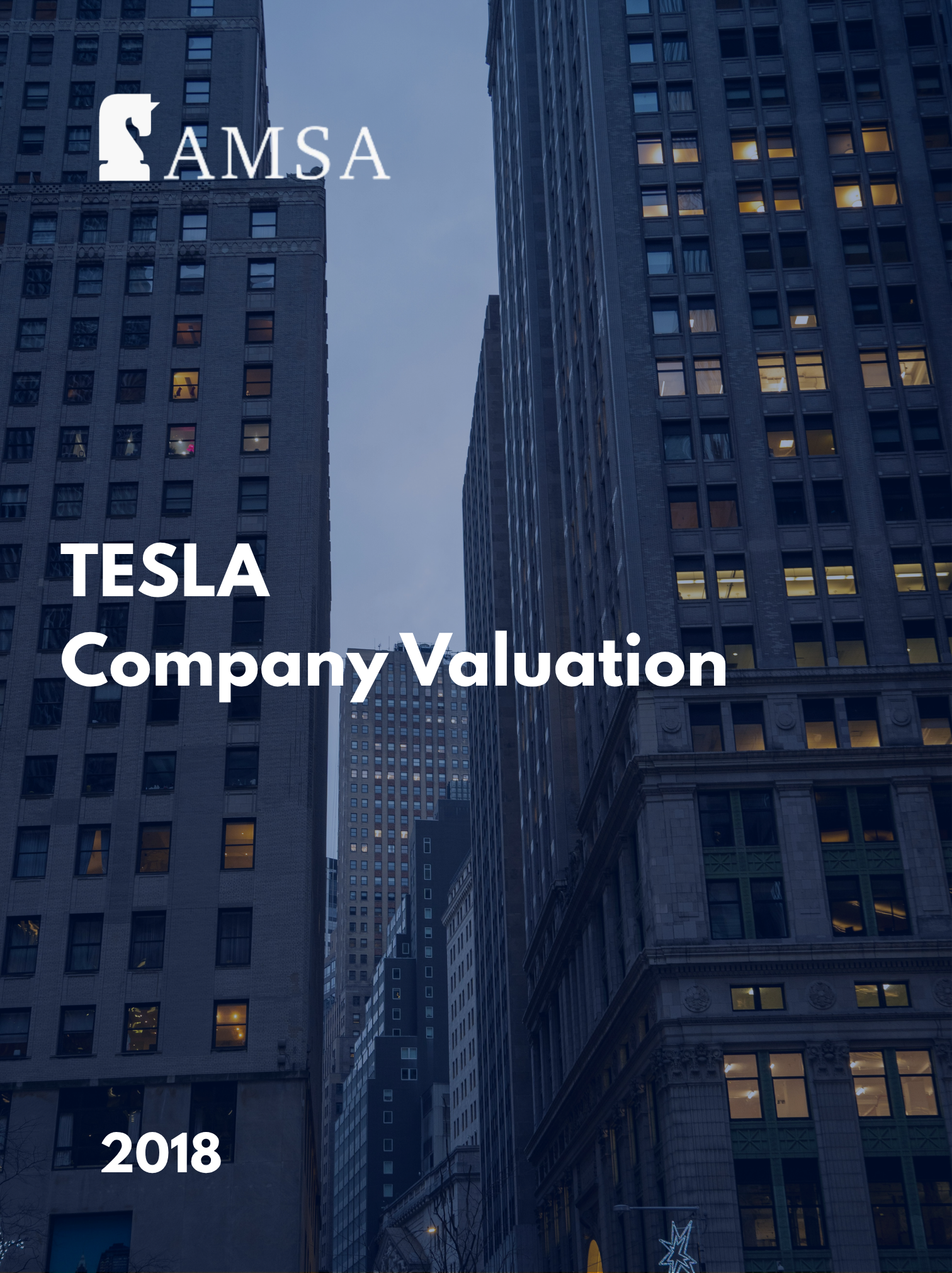 TESLA Company Valuation