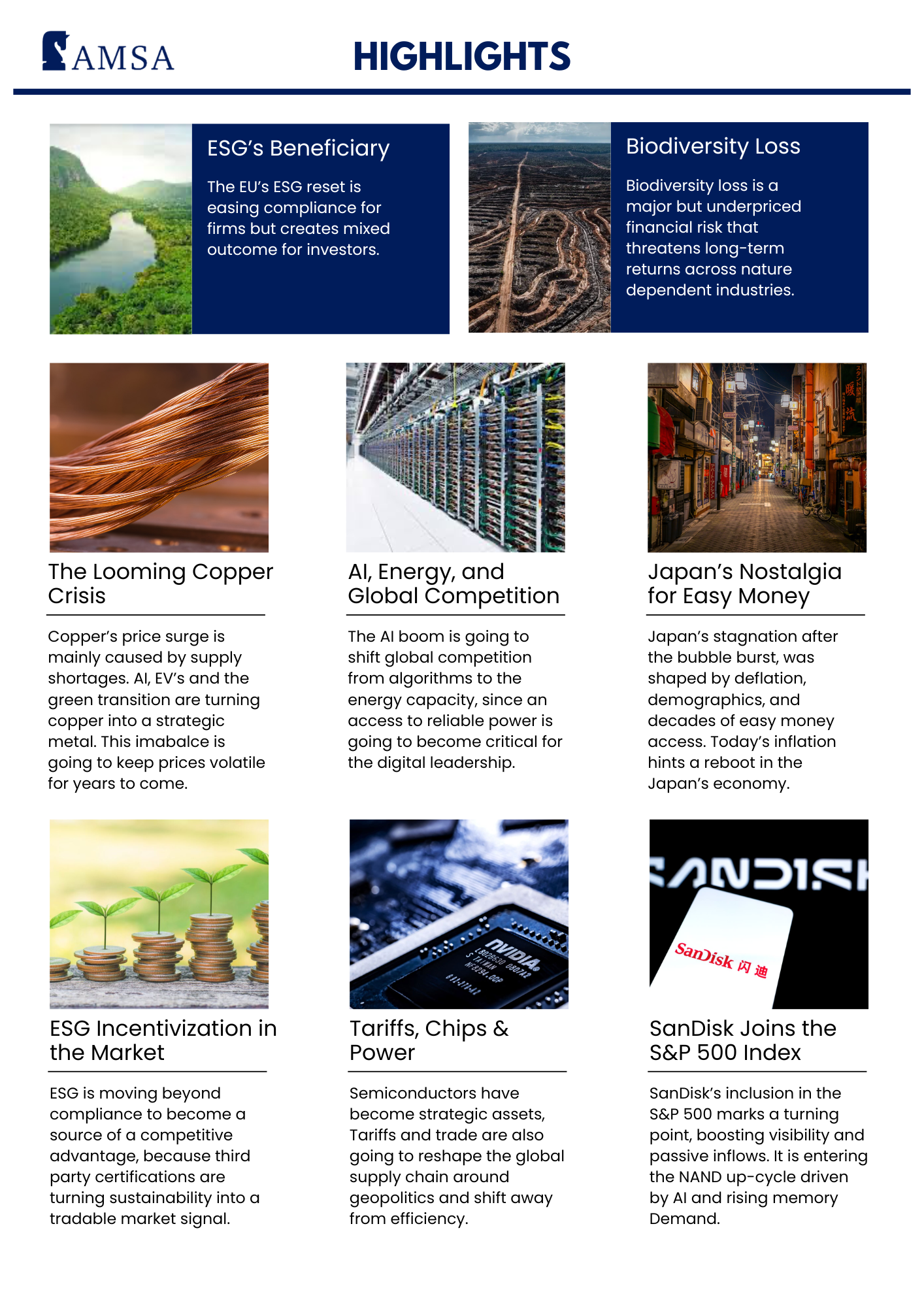 AMSA Newsletter #19