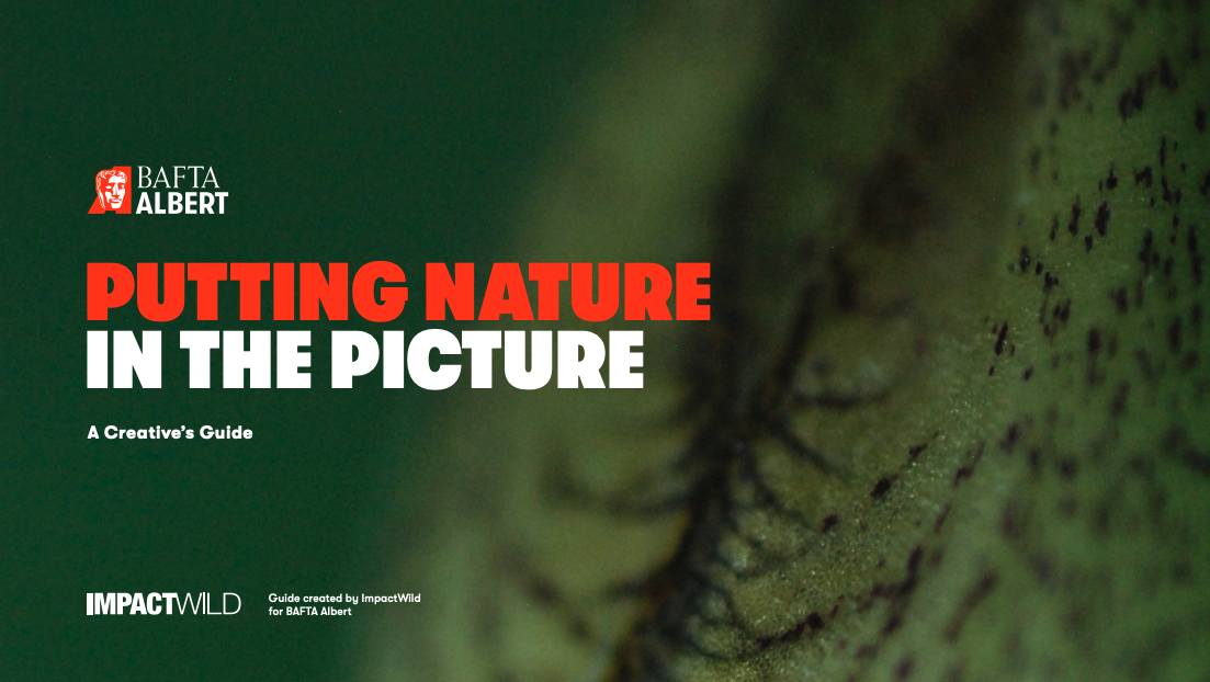 BAFTA Albert Campaign: Putting Nature In The Picture