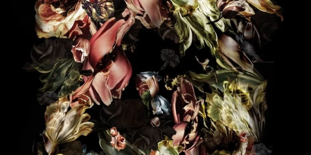 ArtinBerlin.com | Renata Kudlacek, Quest to Bloom (Deutsch)