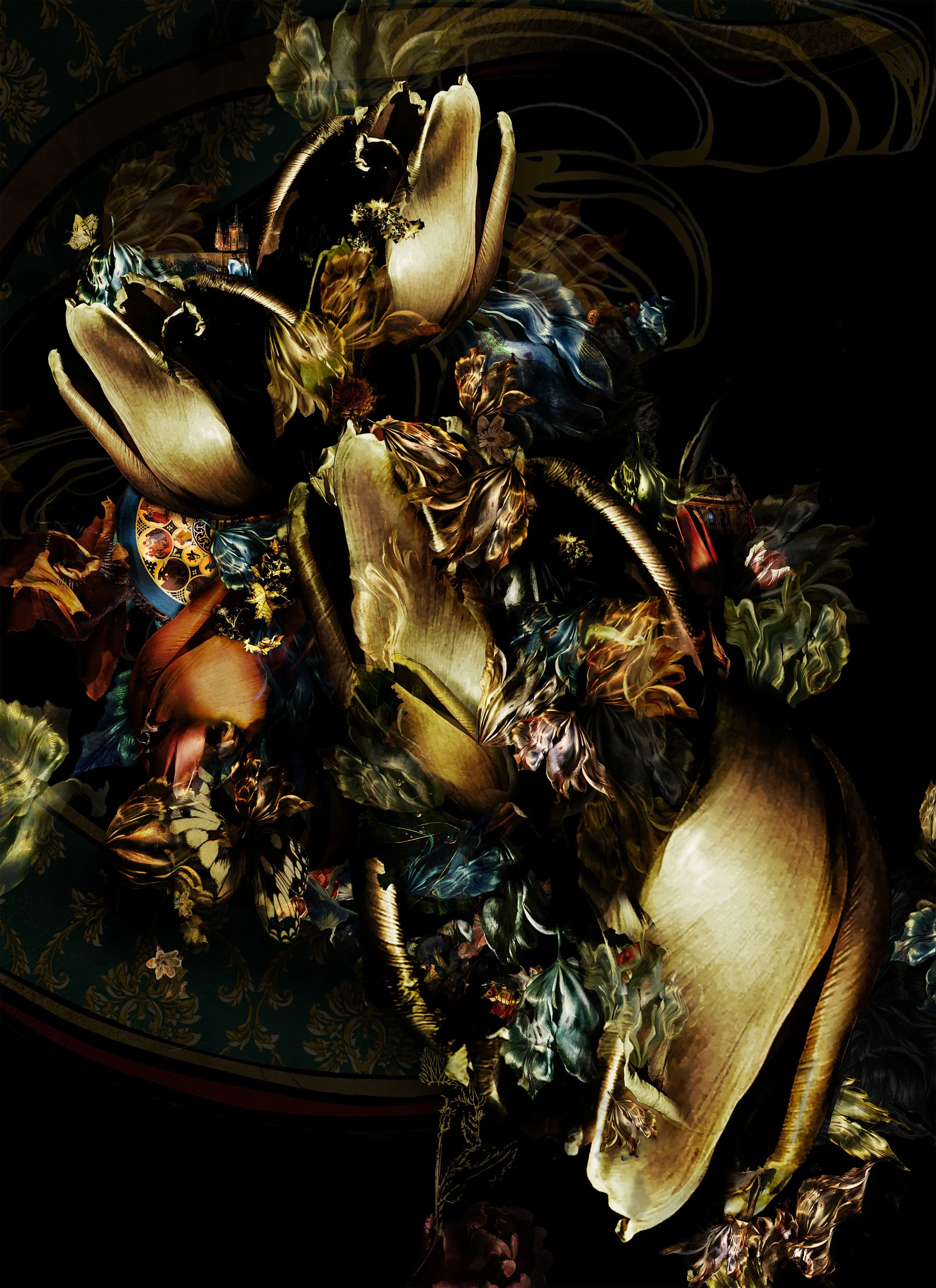 My Bohemia - Edition