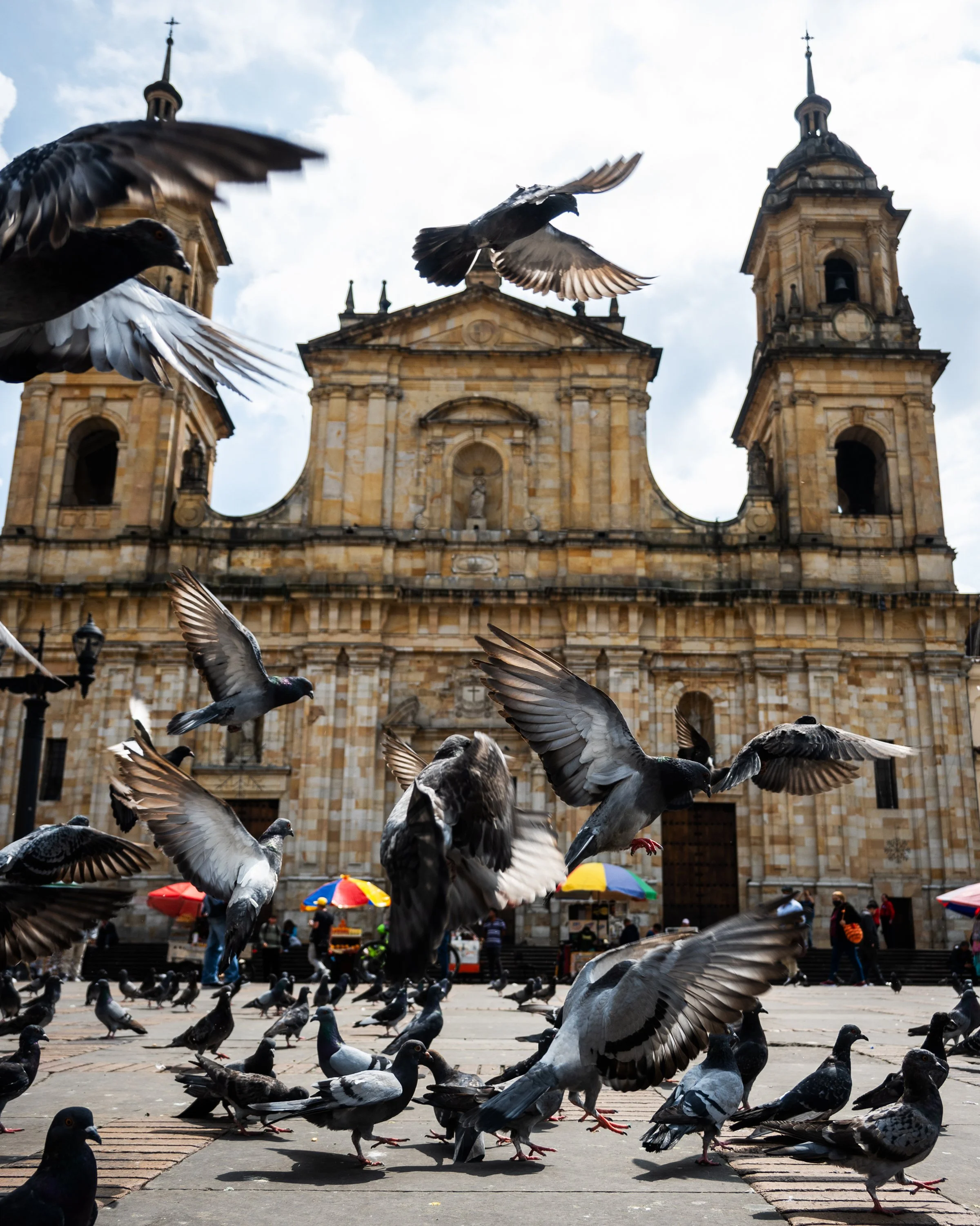 colombia_2025-8.jpg