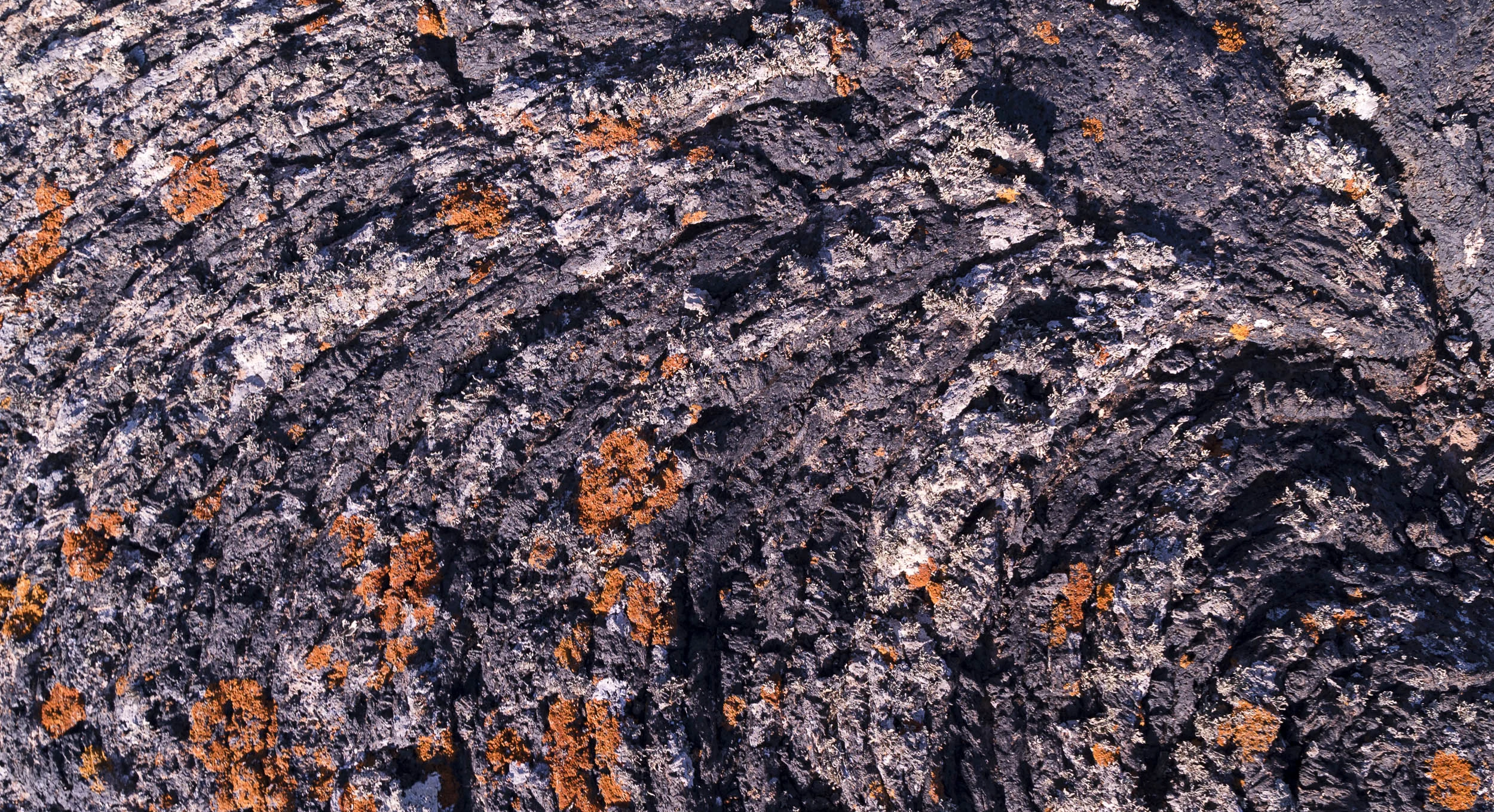 Lava_DSC7993.jpg