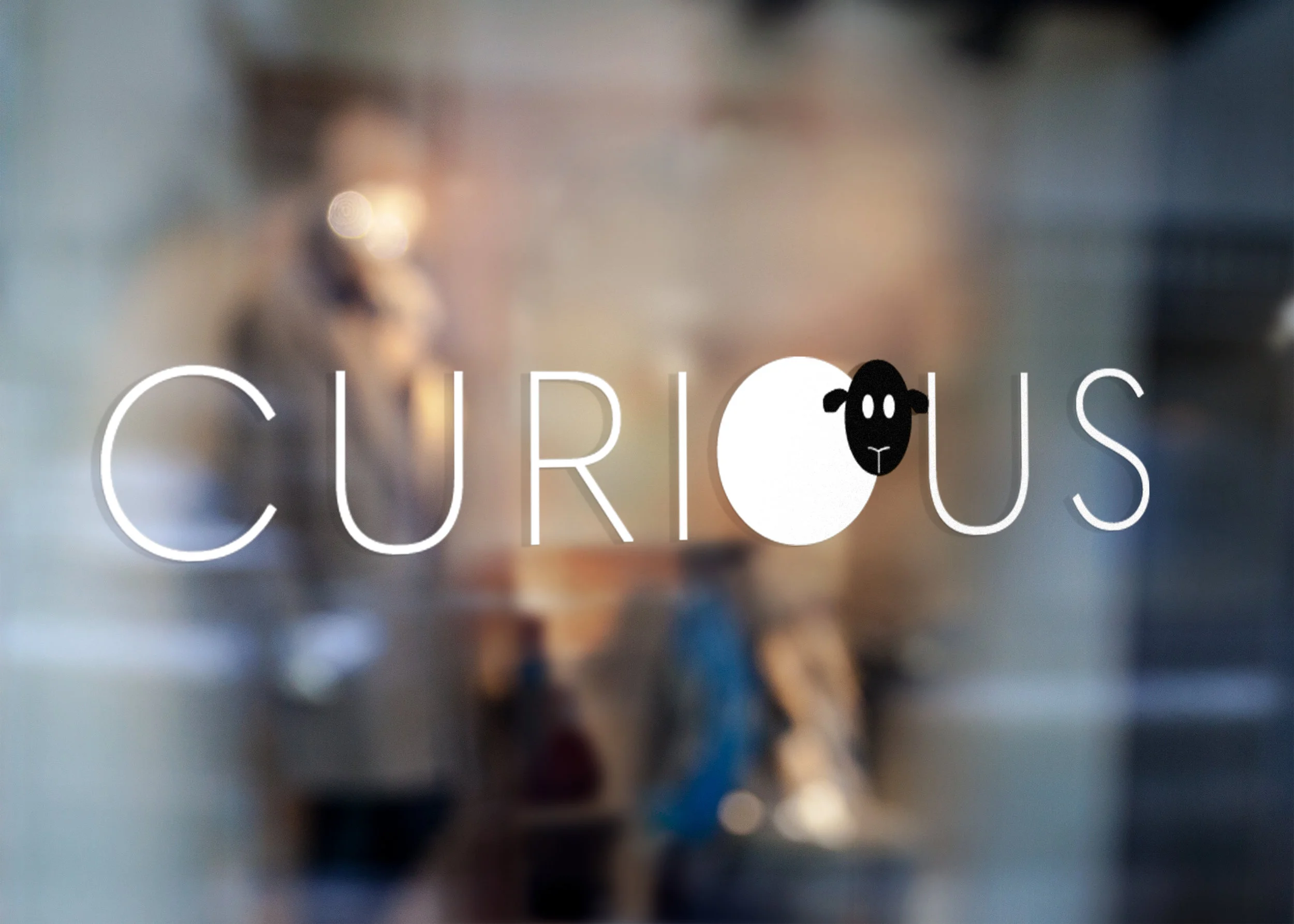 Curious Brand Window Signage.jpg