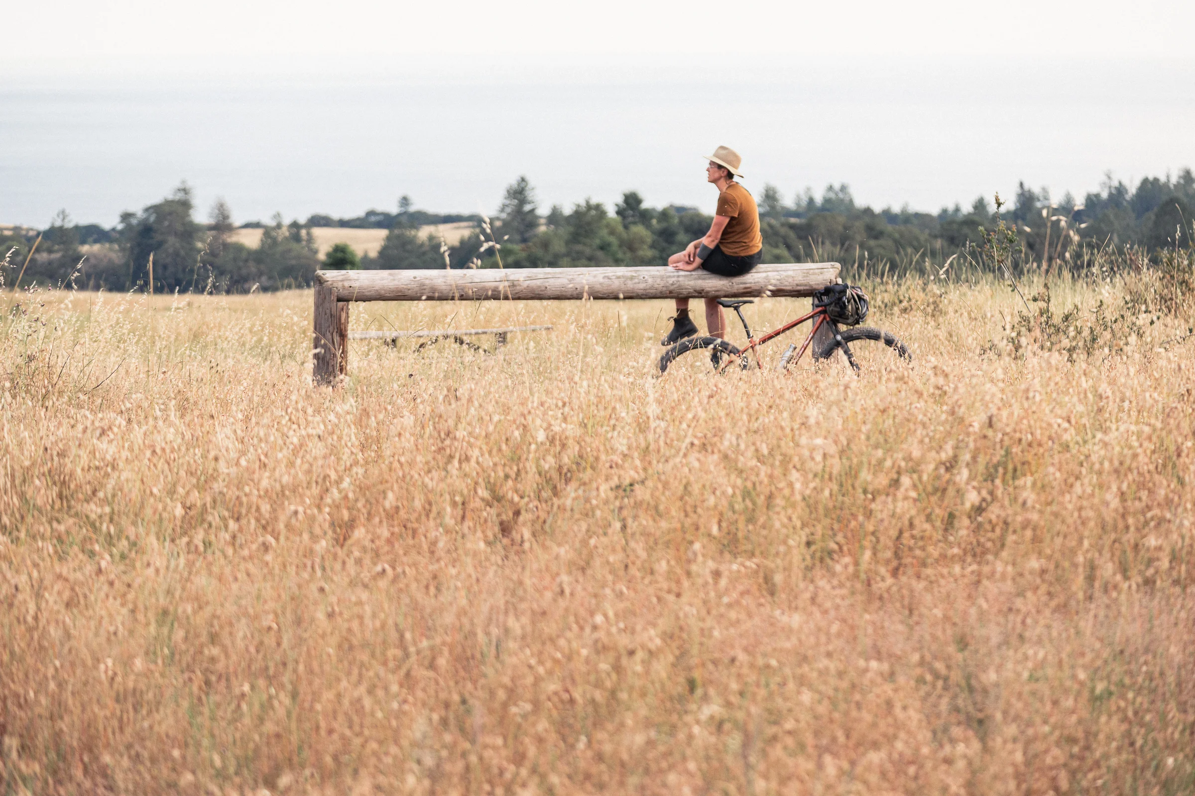 2019_06_09_SpecShots-3.jpg