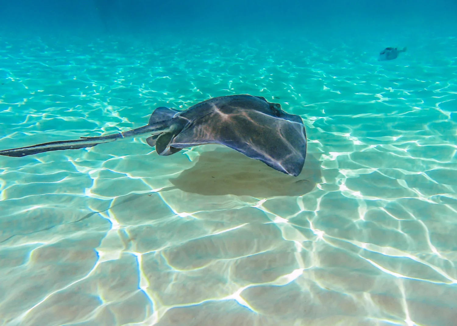 Grand Cayman Islands
