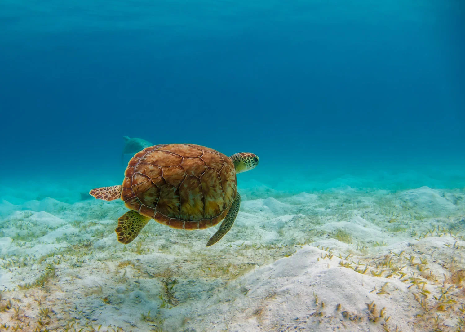 St Johns, USVI