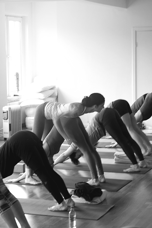 ashtanga-yoga-workshop-kia-oslo-15.jpg