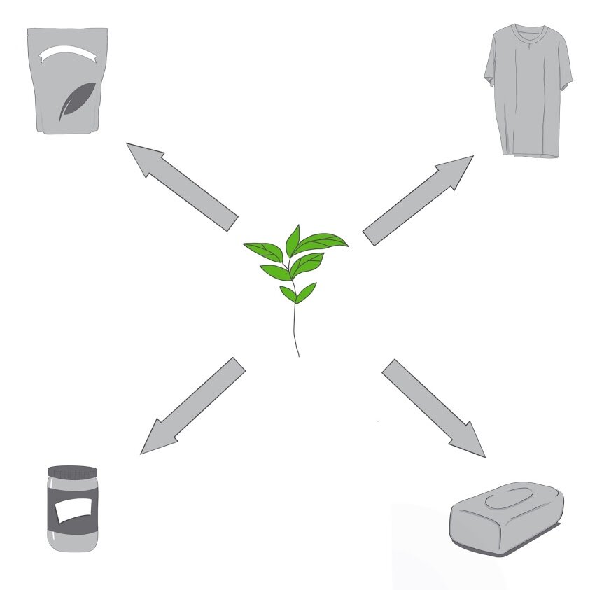 Untitled_Artwork 2.jpg