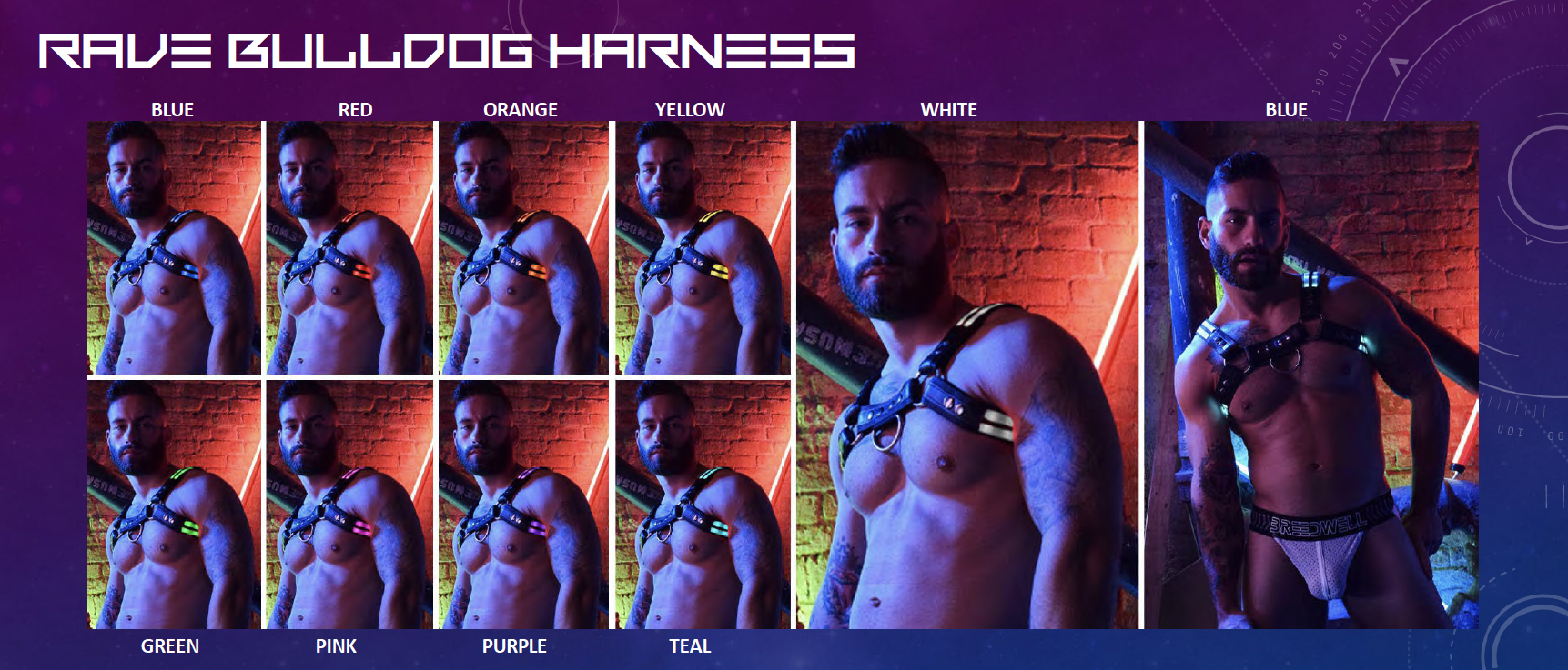 Bulldog Harness.png