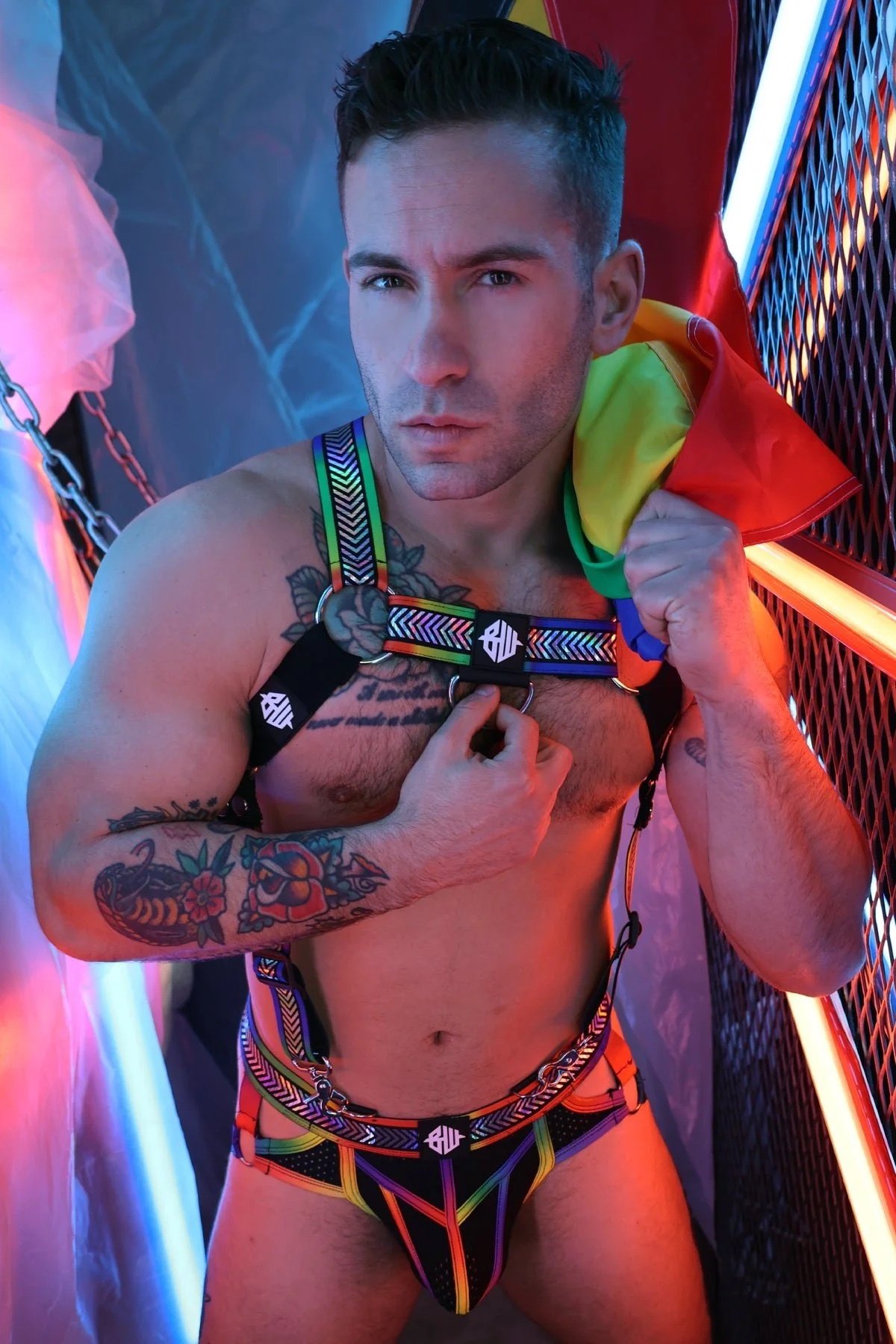 pure-pride-harness2506-001breedwell-332905_3000x.jpeg