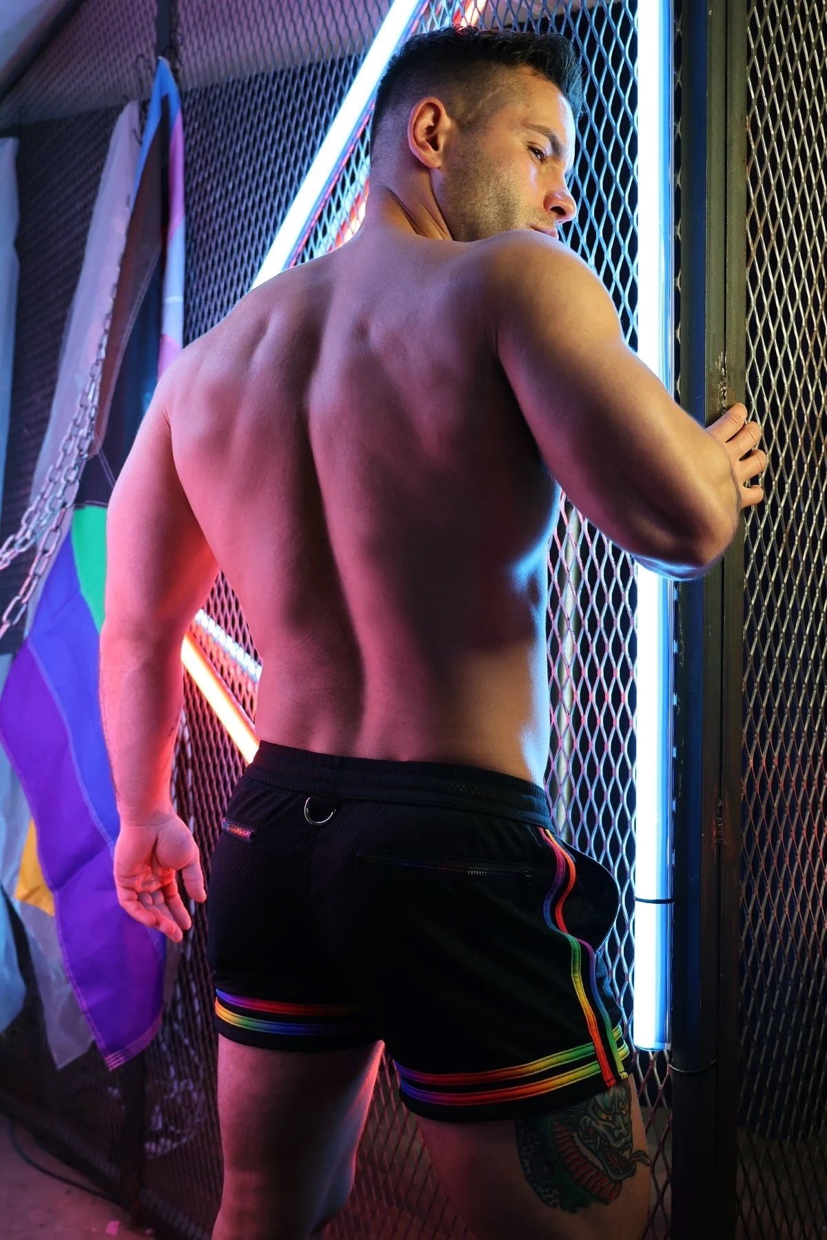 pure-pride-shorts2506-031breedwell-356888_3000x.jpeg