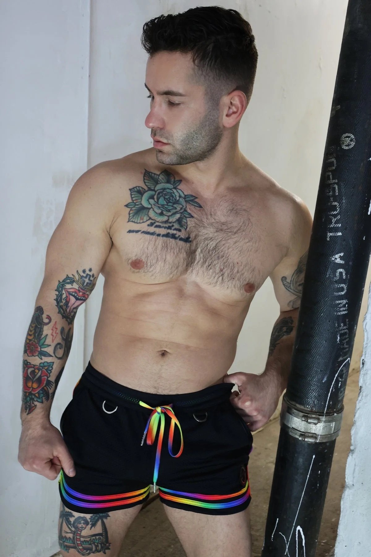 pure-pride-shorts2506-031breedwell-859954_3000x.jpeg