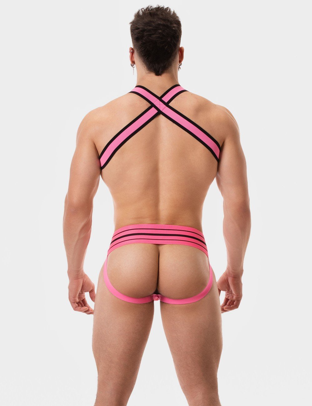 harness-colin4.jpeg