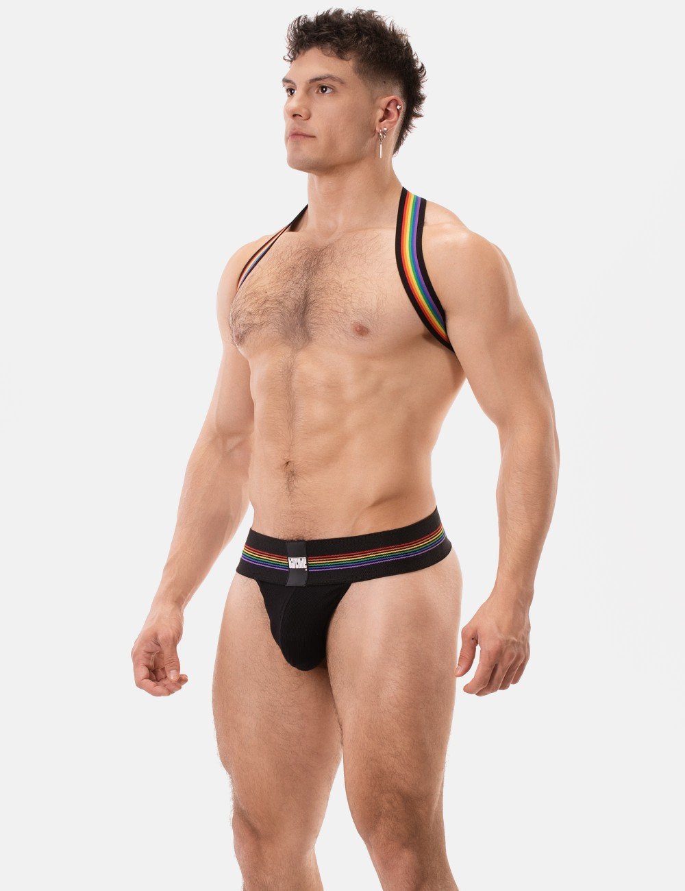 harness-pride-eternity3.jpeg