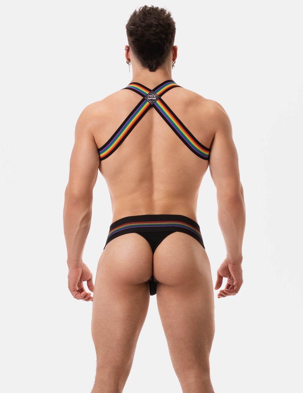 harness-pride-eternity4.jpeg