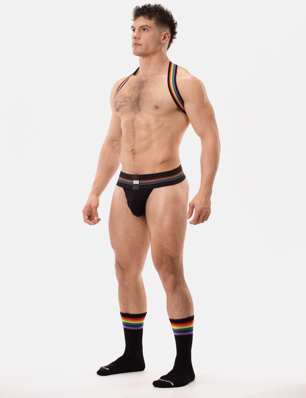 harness-pride-eternity7.jpeg